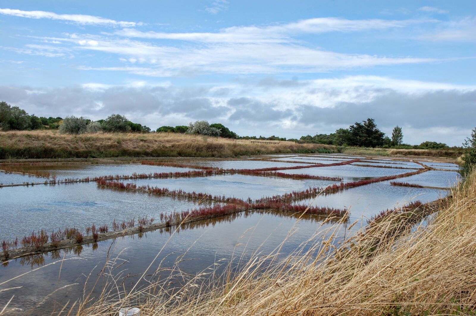 Nikon D40 sample photo. Marsh, saline, water photography