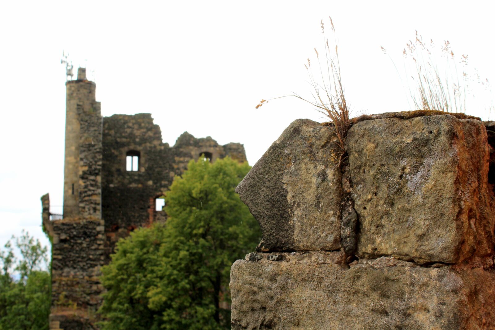 Canon EOS 1200D (EOS Rebel T5 / EOS Kiss X70 / EOS Hi) sample photo. Castle, the ruins of photography