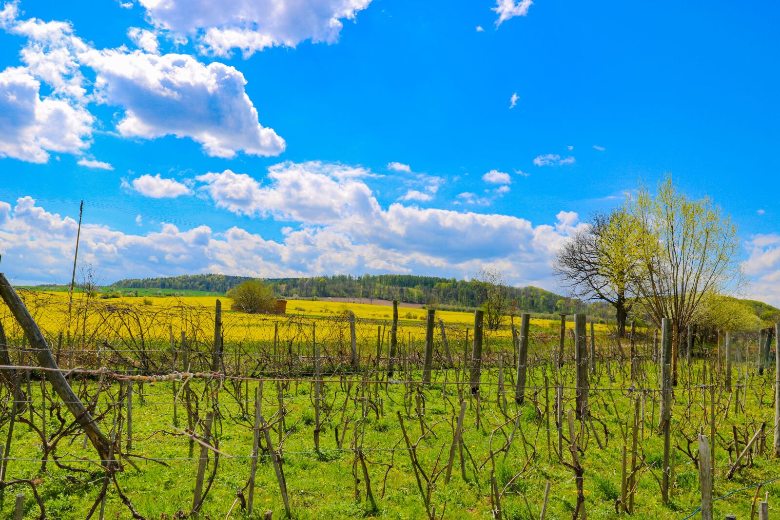 Canon EF 16-35mm F4L IS USM sample photo. Sky, nature, landscape photography