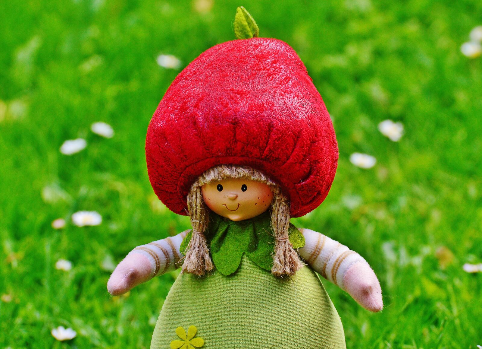 Nikon D3200 sample photo. Dwarf, imp, sweet photography
