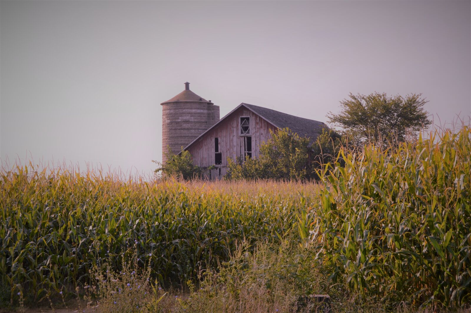 Nikon D3200 sample photo. Outdoors, heaven, grass photography