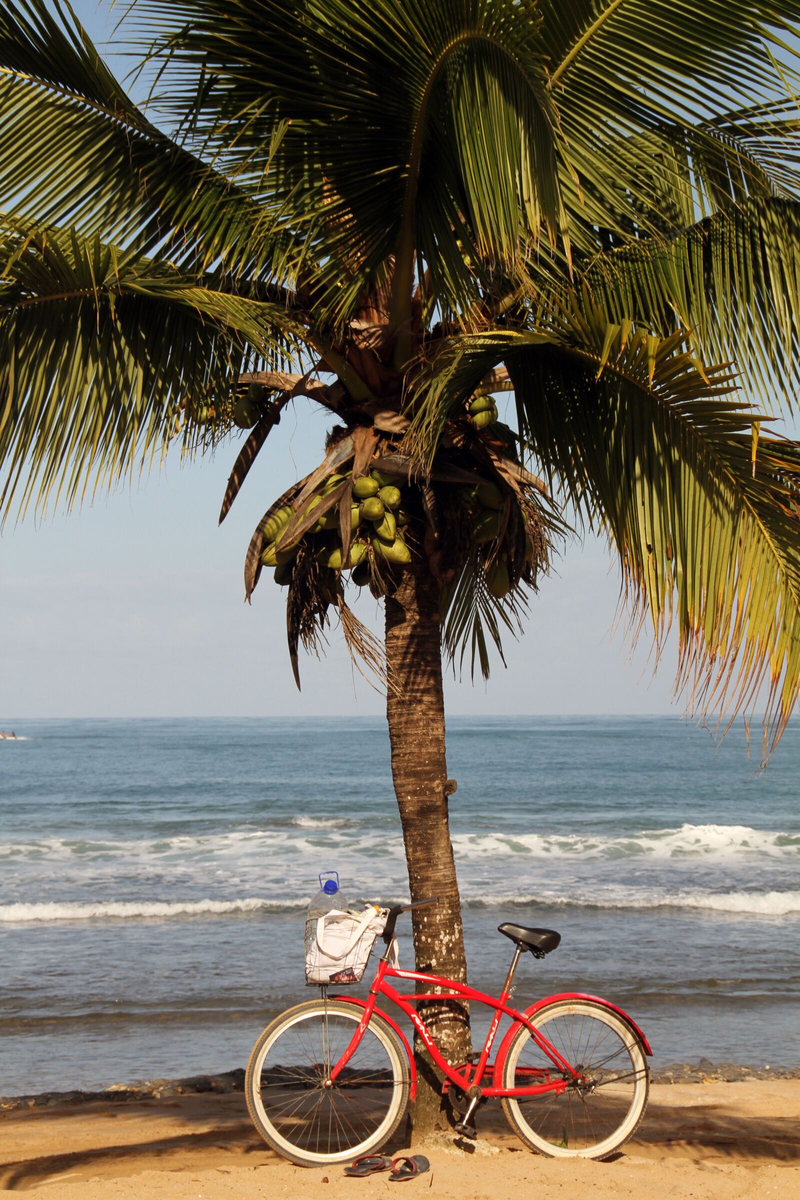 Canon EOS 7D sample photo. Palm, cycling, beach photography