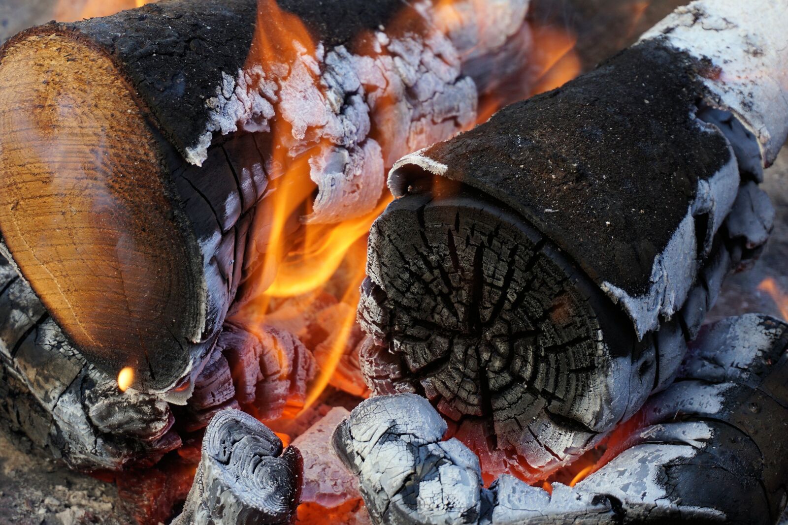 Sony a6000 sample photo. Fire, grill, wood photography