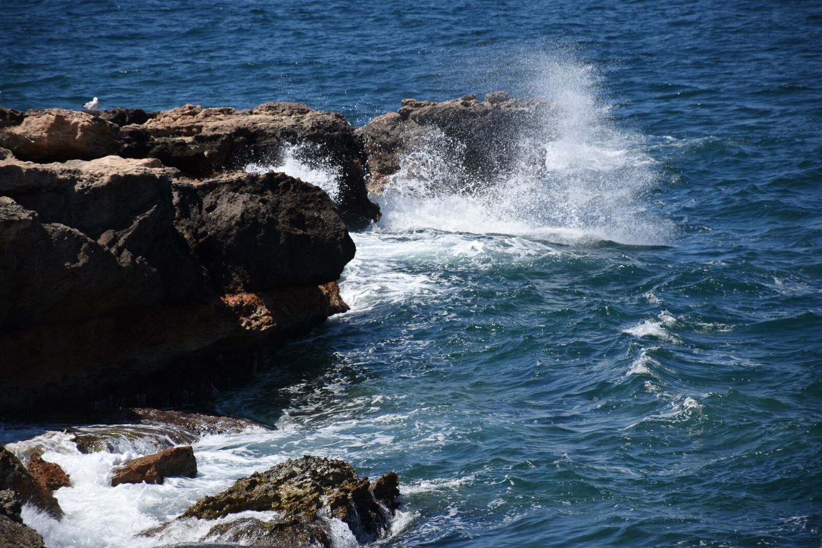 Nikon D5600 sample photo. Ibiza, sea, shore photography