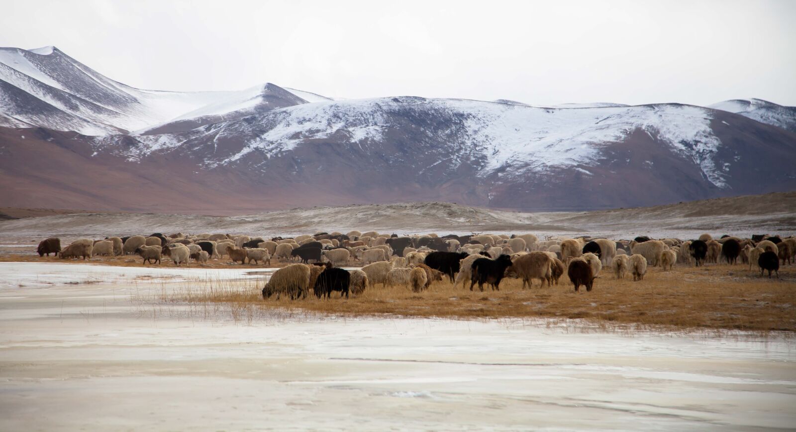 Canon EOS 5D Mark II sample photo. Ladakh, himalaya, no photography