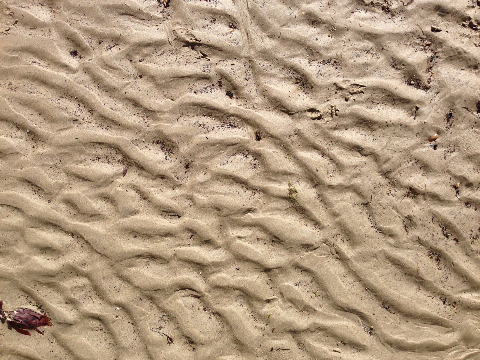 iPhone 5 back camera 4.12mm f/2.4 sample photo. Sand, tide, beach photography