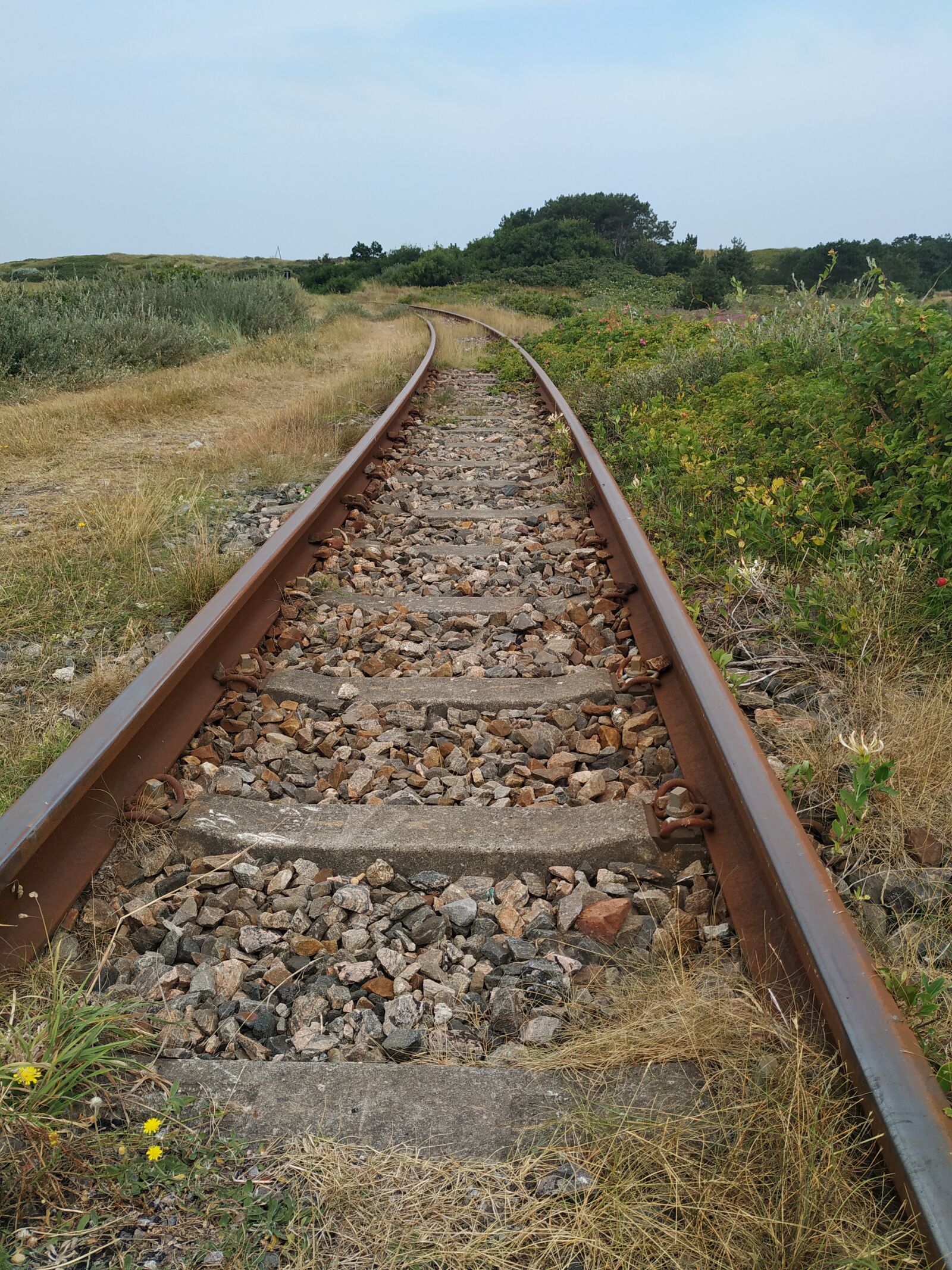 Xiaomi Mi A2 sample photo. Railway, rails, endless photography