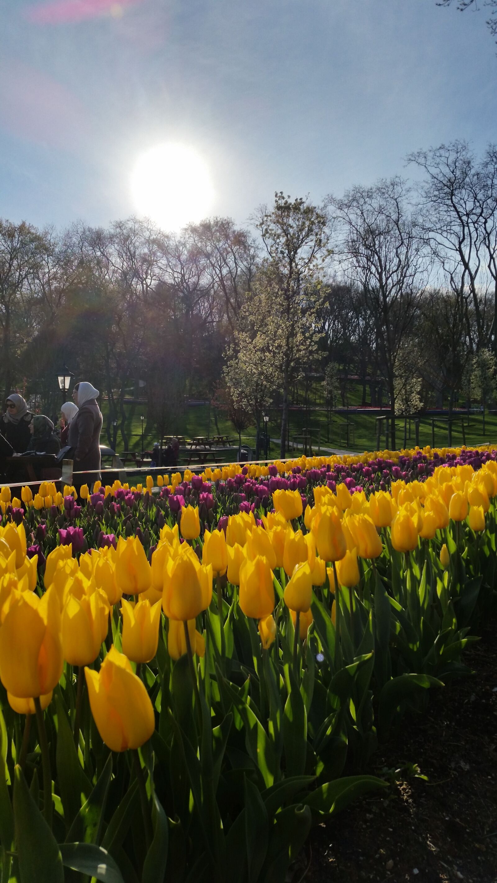 Samsung Galaxy S5 sample photo. Emergan, festival, istanbul, tulip photography