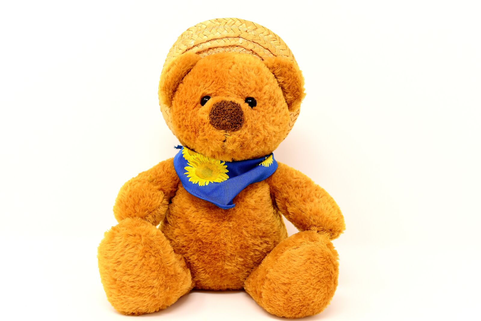 Nikon D7200 sample photo. Teddy, stuffed animal, hat photography