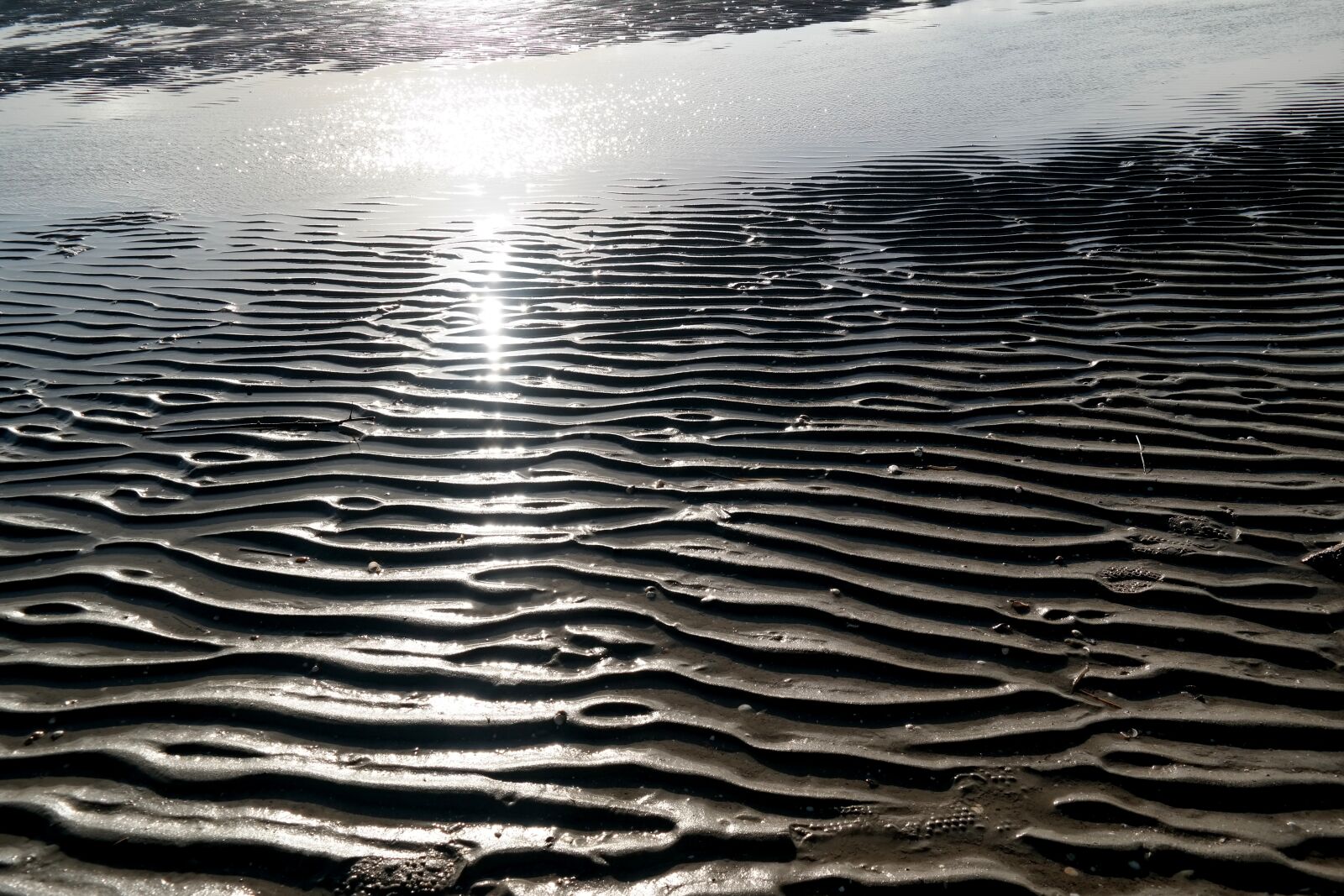Samsung NX300 sample photo. Sandy beach dunes, by photography