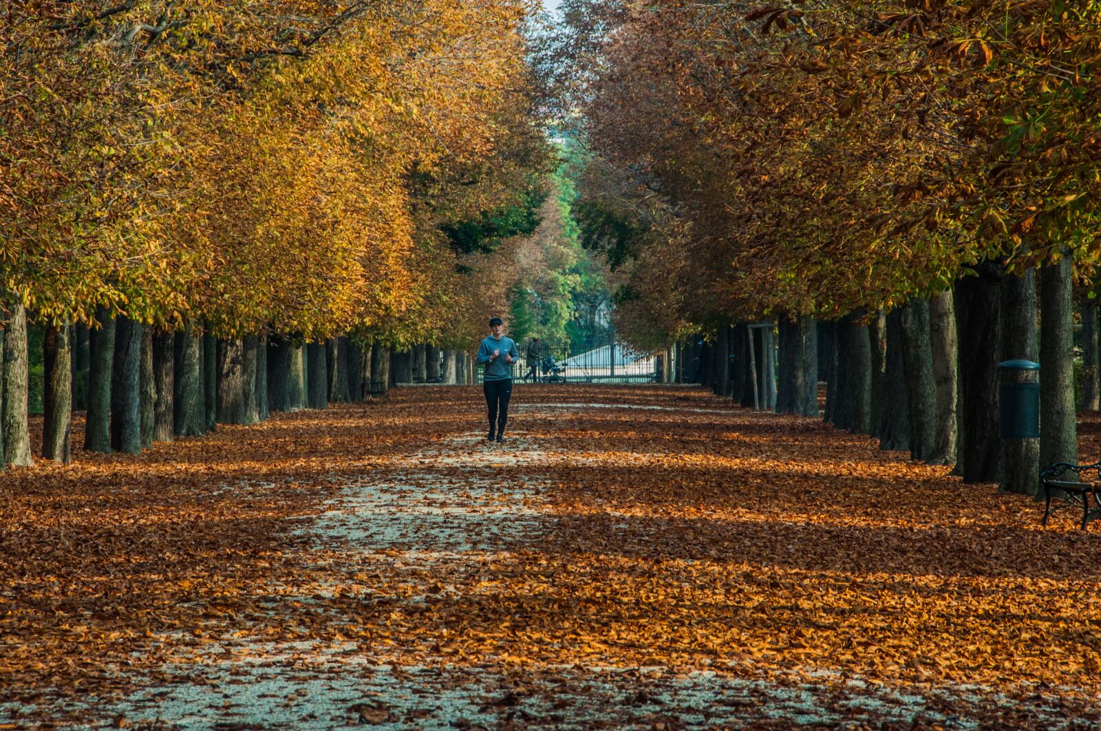 Nikon D90 sample photo. Vienna, autumn, outdoor photography
