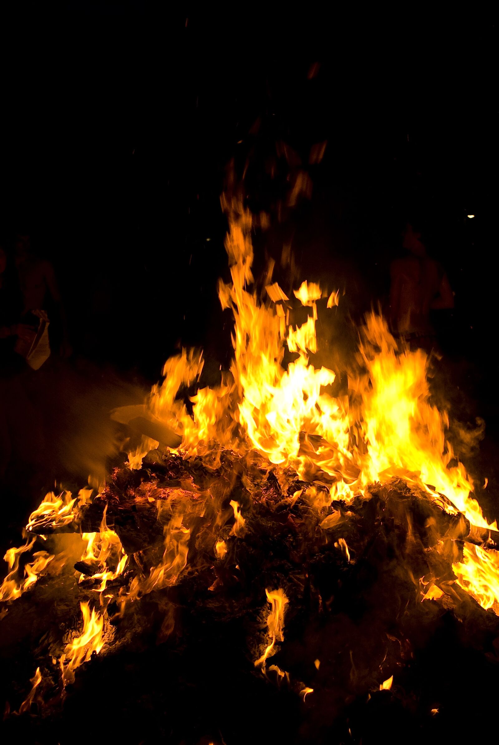 Nikon D60 sample photo. Campfire, fire, flame photography