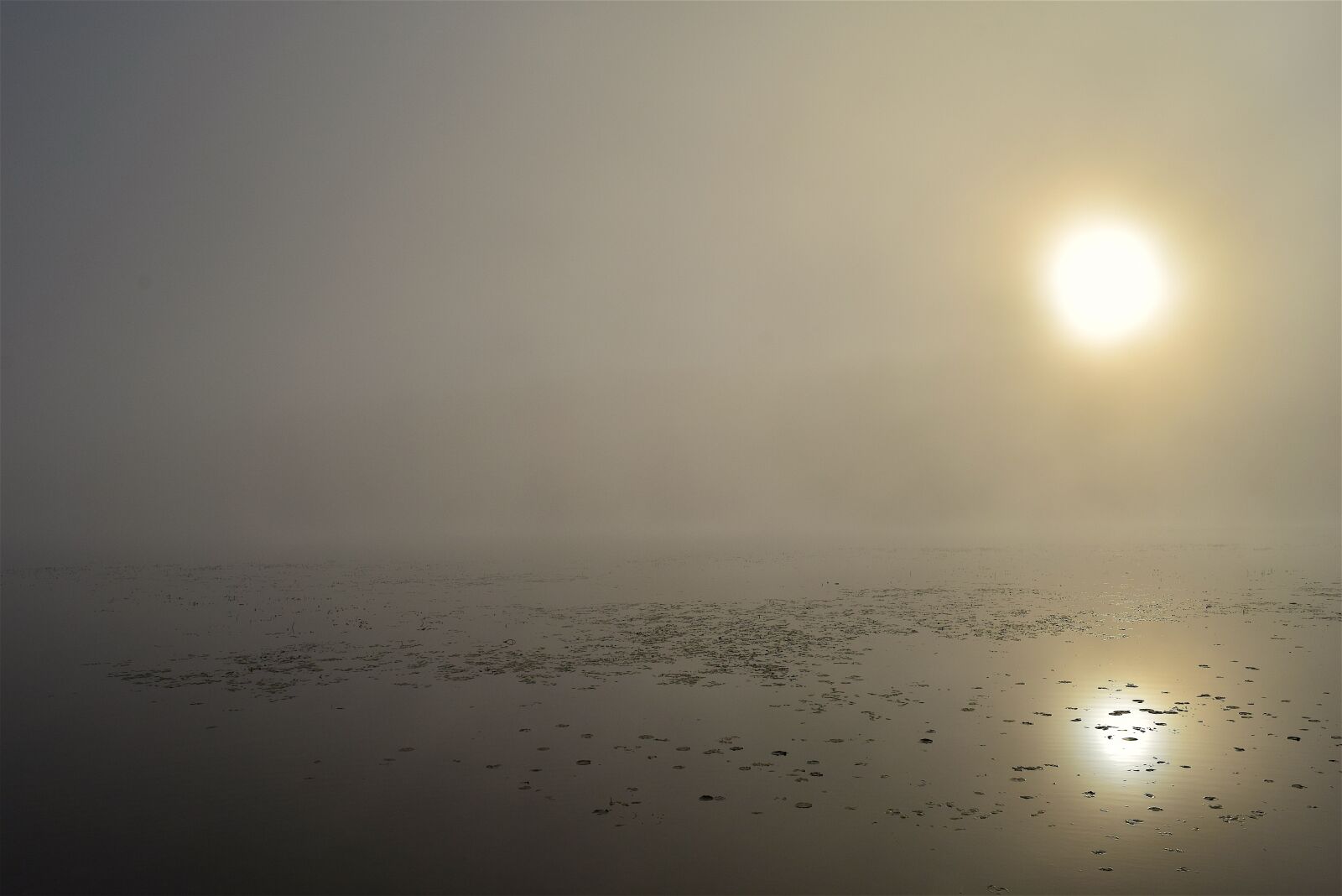 Nikon D3300 sample photo. Sun, lake, mist photography