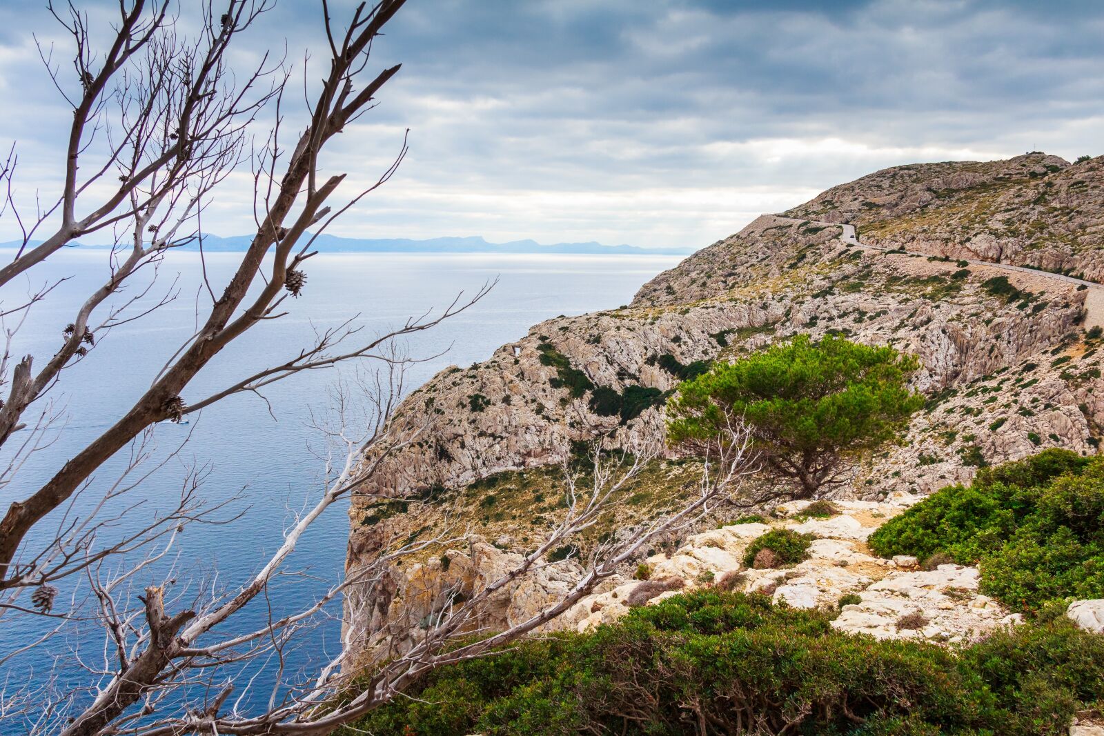Canon EOS 650D (EOS Rebel T4i / EOS Kiss X6i) sample photo. Mallorca, winter, vacations photography