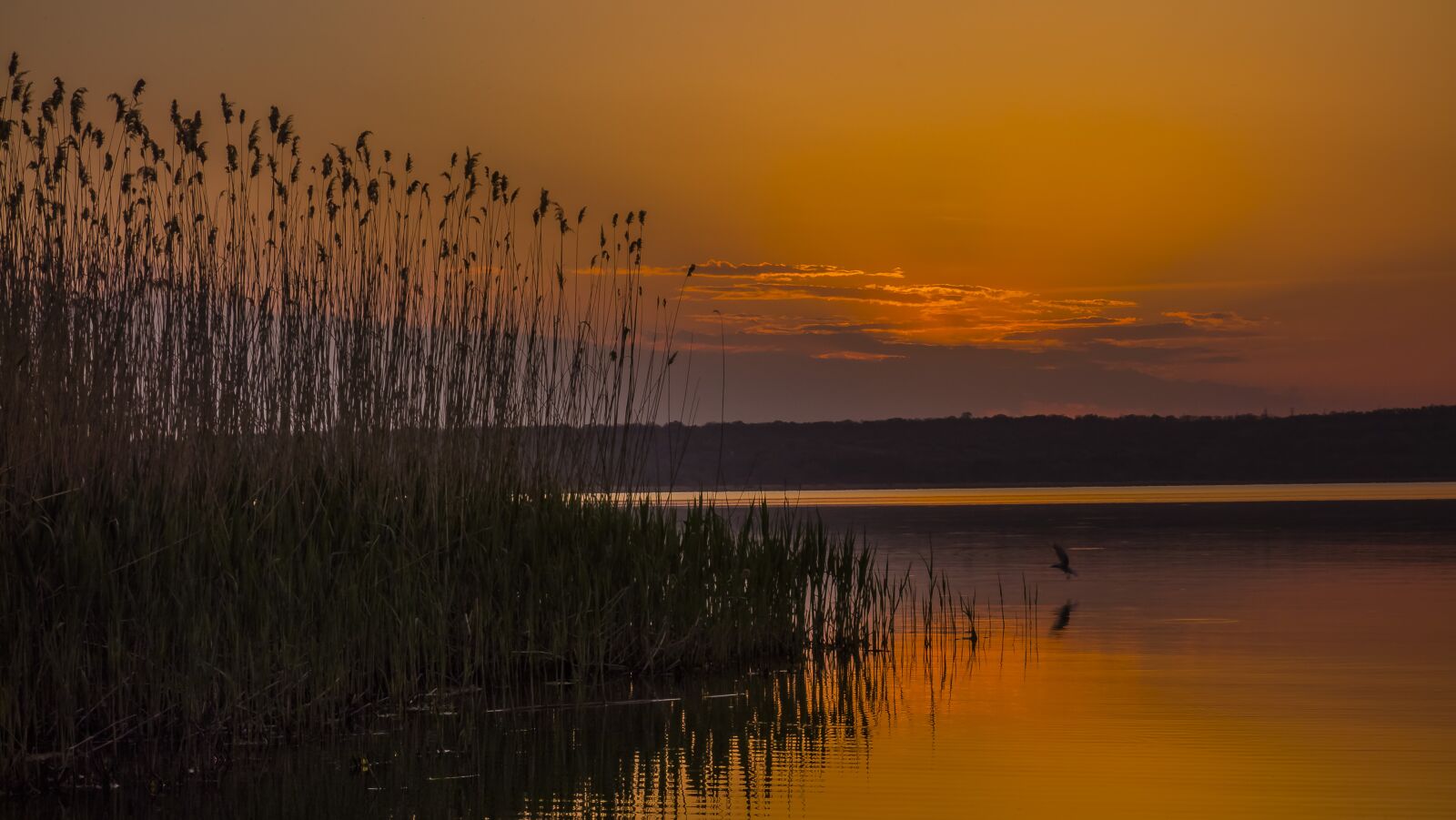 Sony Cyber-shot DSC-RX100 sample photo. Sunset, dawn, water photography
