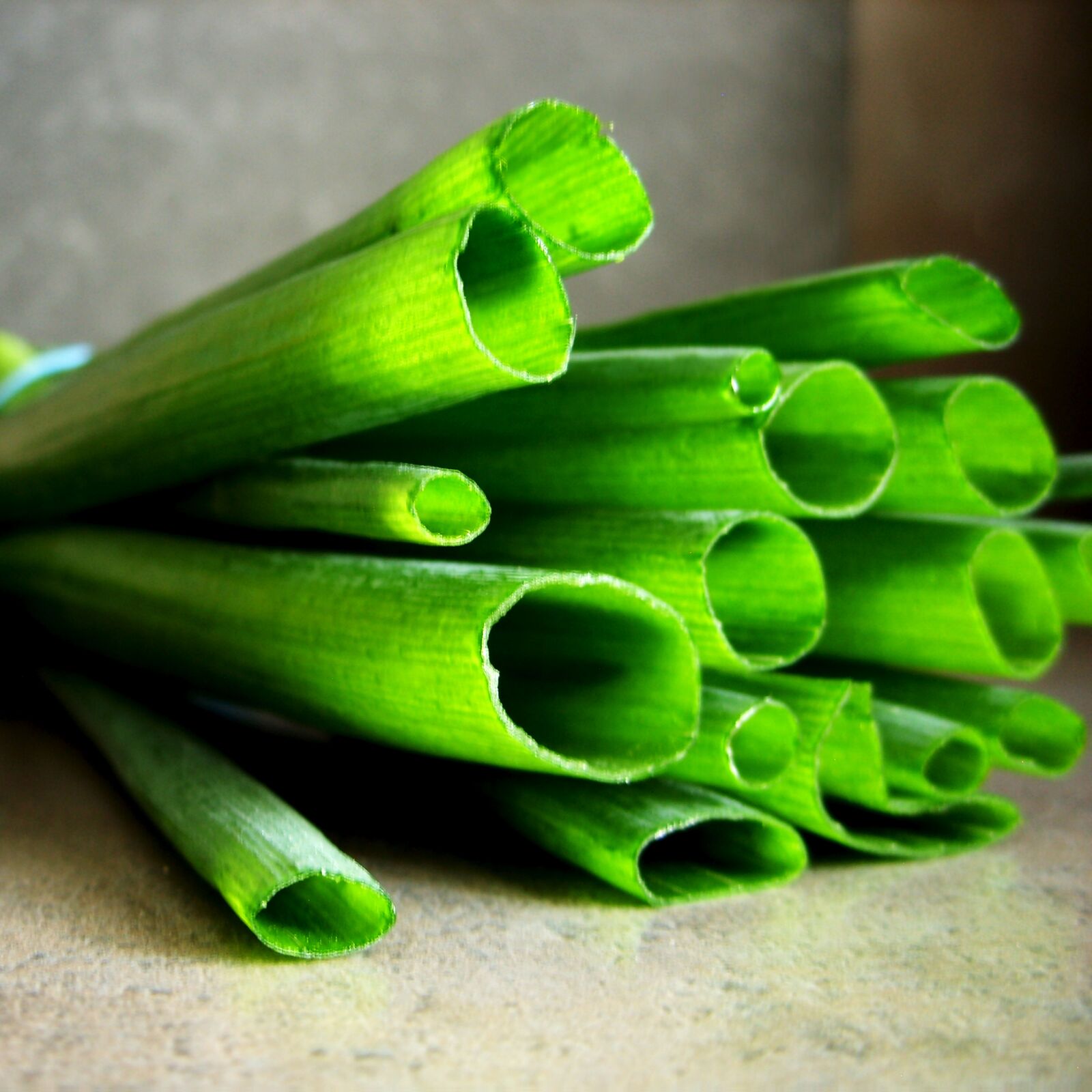 Samsung Digimax L85 sample photo. Leek, food, vegetables photography