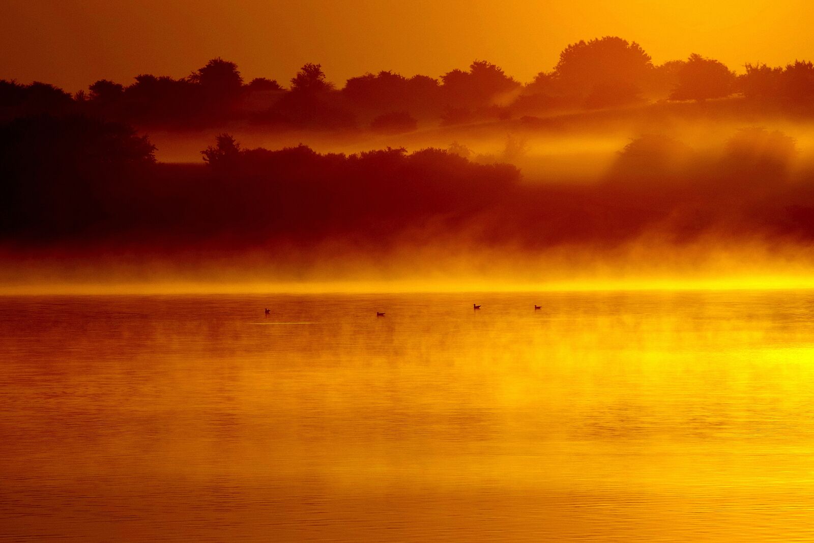 Pentax K-30 sample photo. Morning mist, sea, dawn photography
