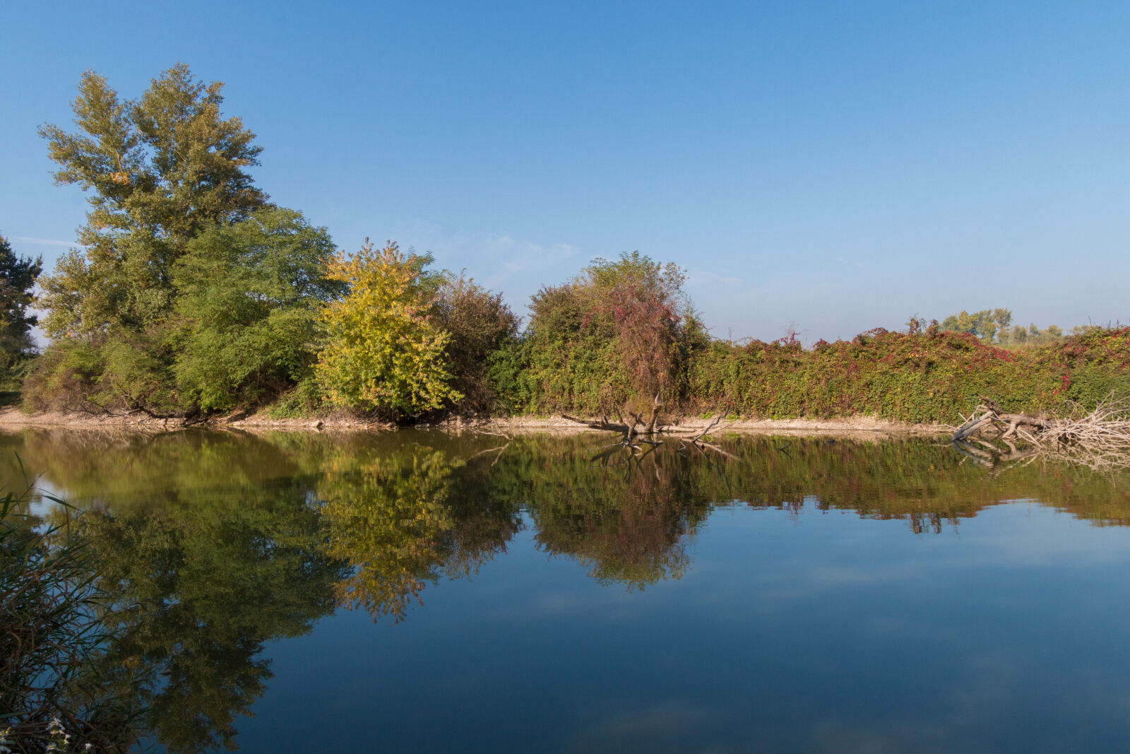 Canon EOS 70D sample photo. Automn, blue, sky, lake photography