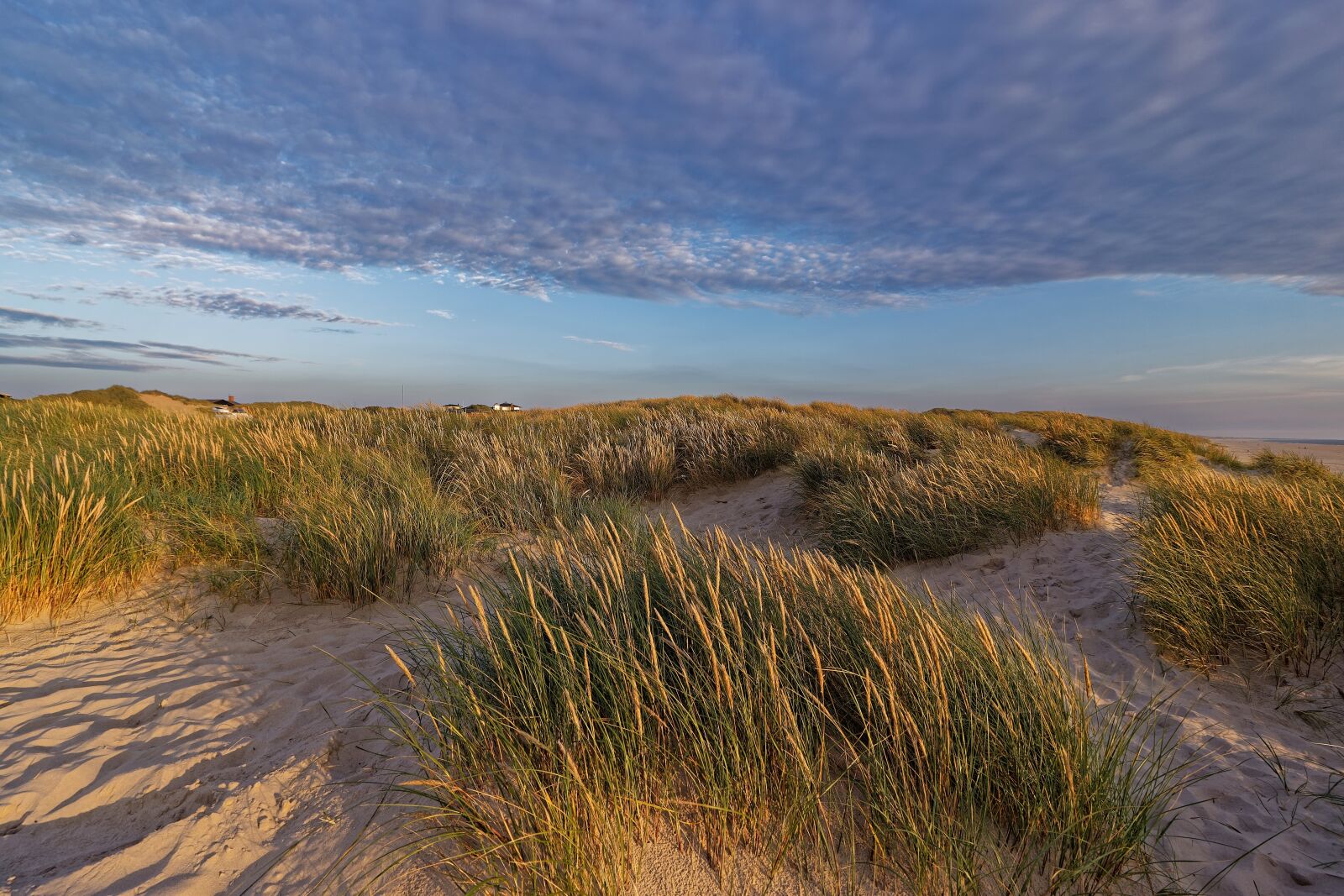 Canon EOS 700D (EOS Rebel T5i / EOS Kiss X7i) sample photo. Denmark, landscape, summer photography