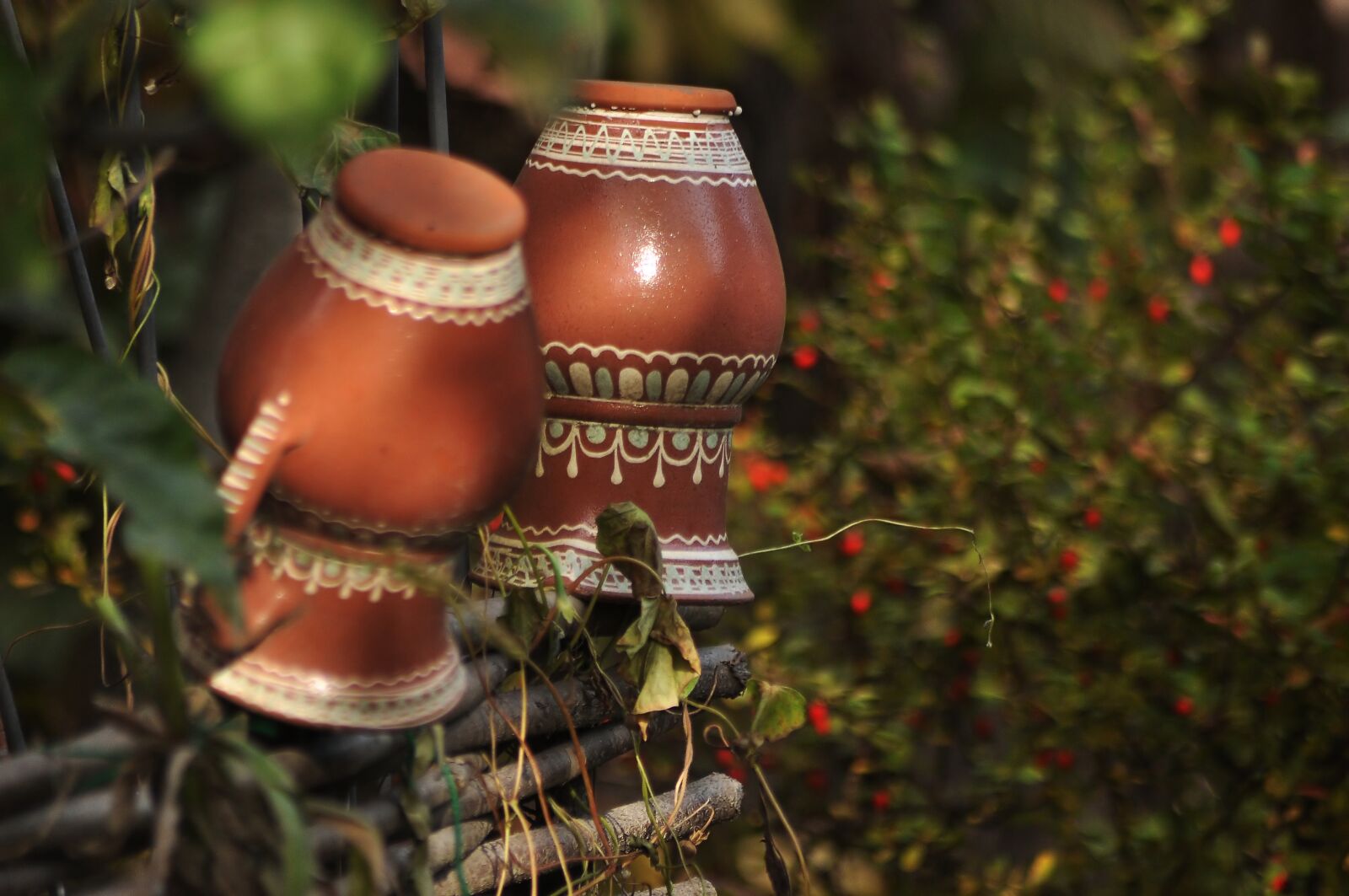 Nikon D90 sample photo. Pots, the fence, yard photography