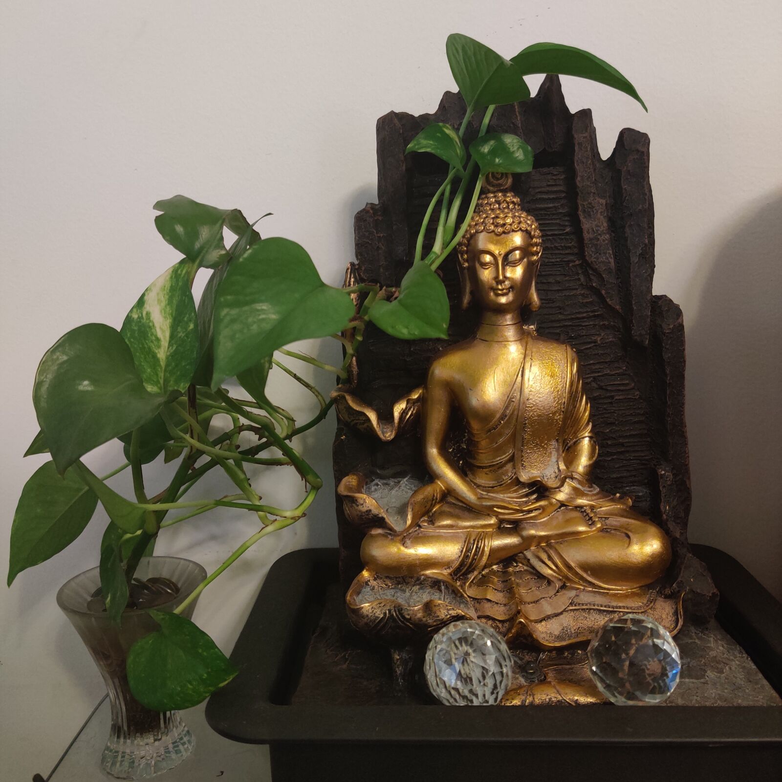 OnePlus HD1901 sample photo. Moneyplant, buddhaathome, indoorplants photography