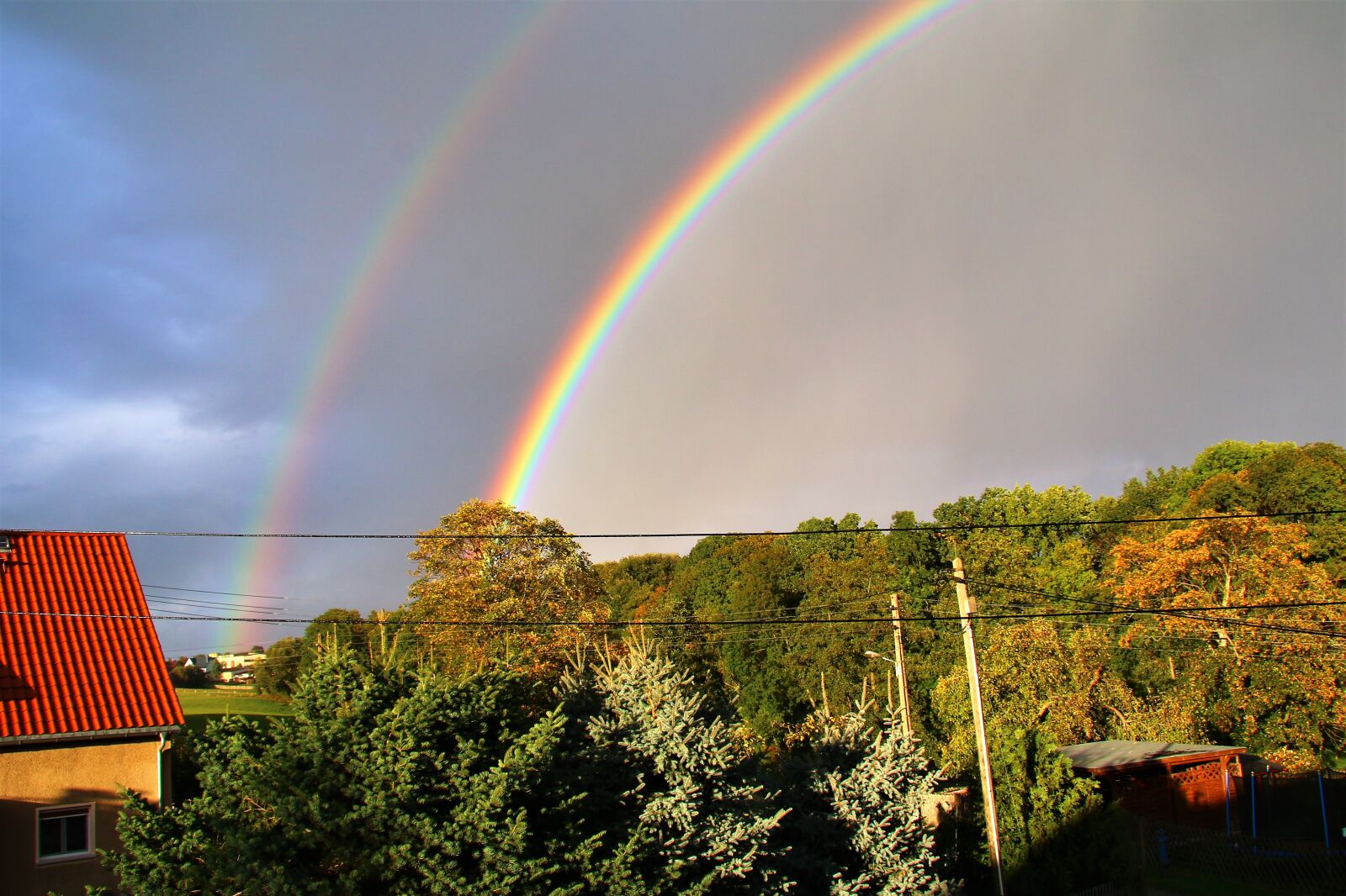 Canon EOS 70D sample photo. Rainbow, autumn, trees photography