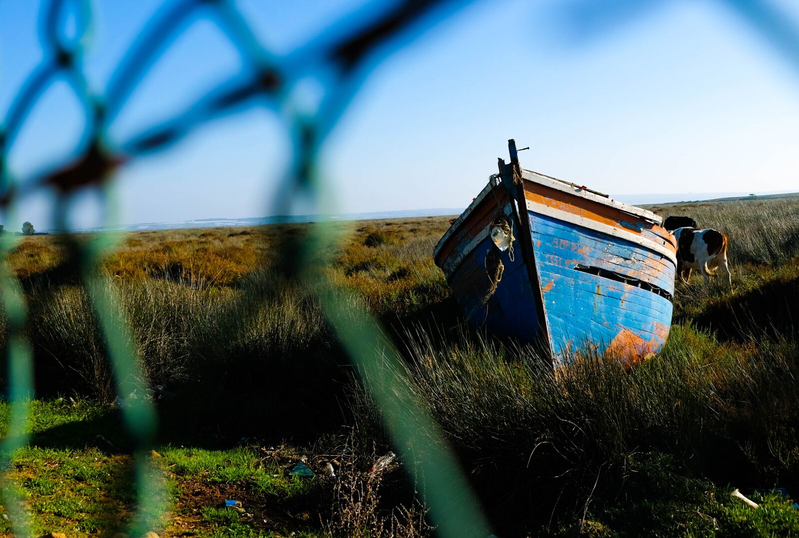 Fujifilm X-T2 sample photo. Boat, wreck, ship wreck photography