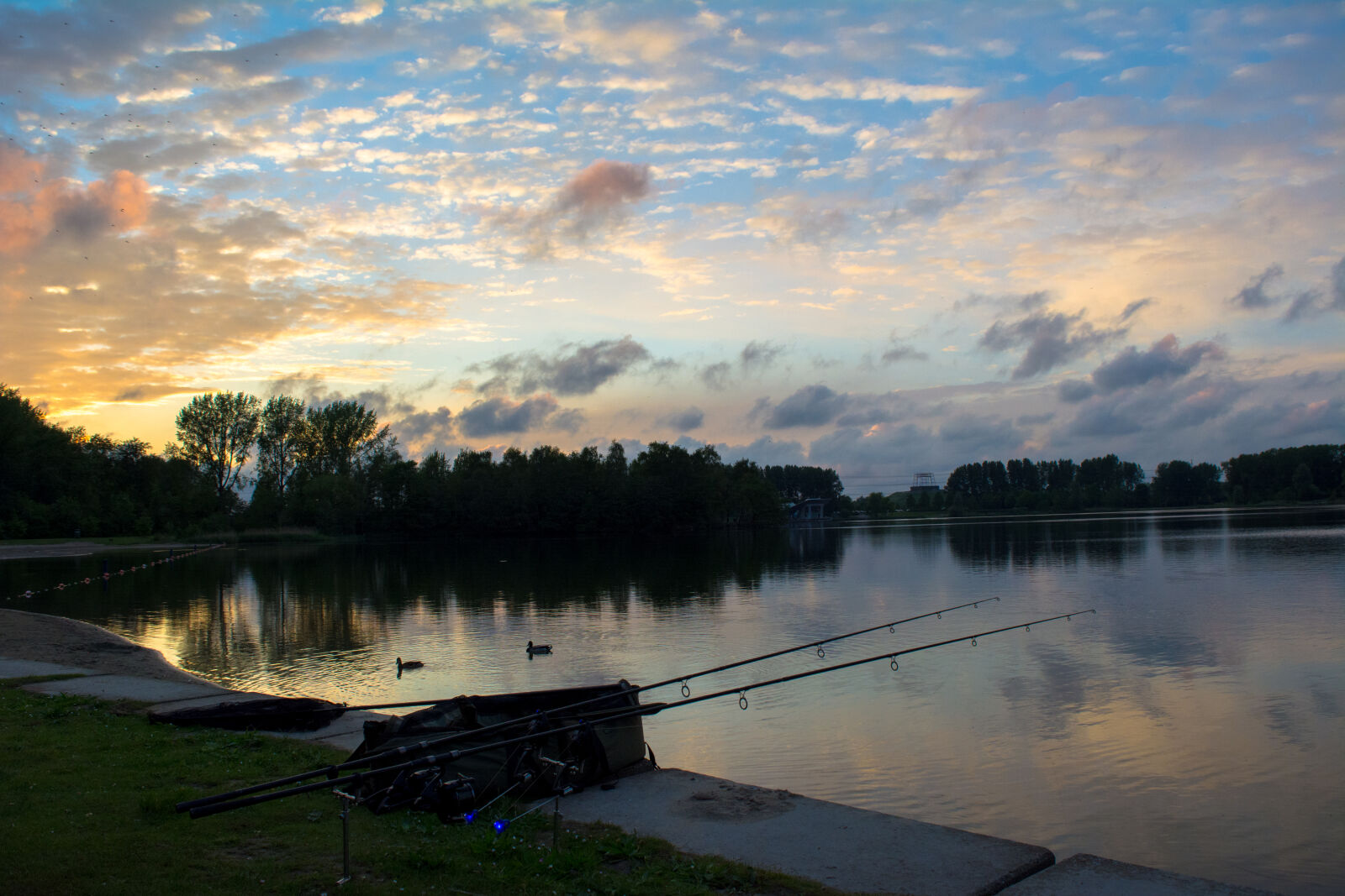 Nikon D5200 sample photo. Carp, fishing, carpfishing, fishing photography