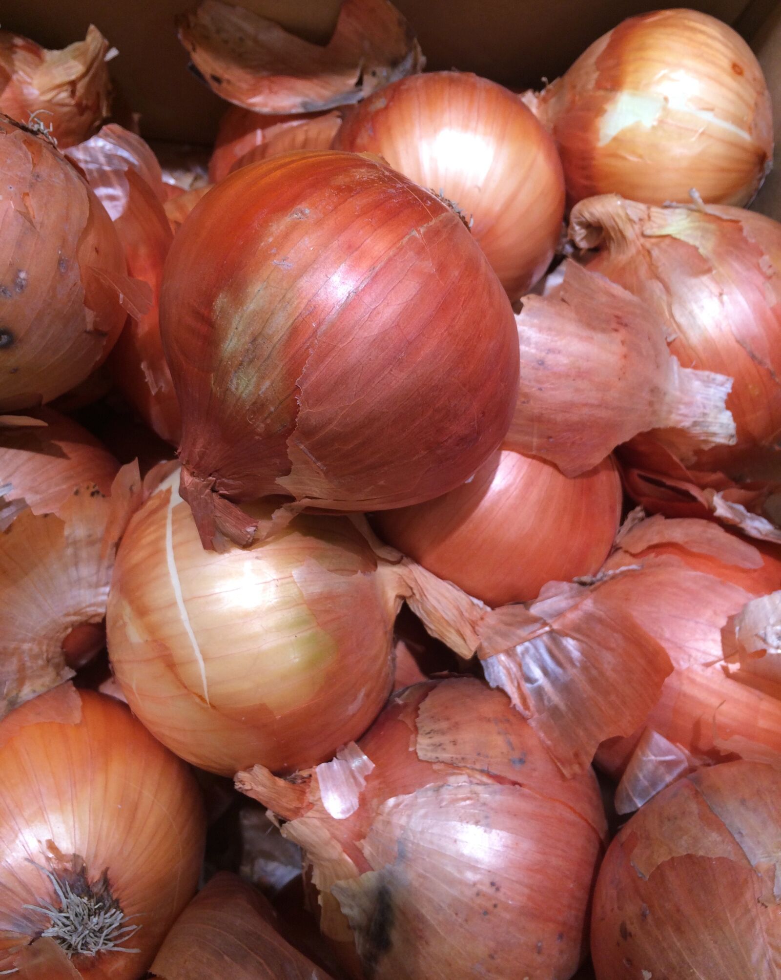 iPhone 5s back camera 4.15mm f/2.2 sample photo. Onions, seiyu ltd, living photography