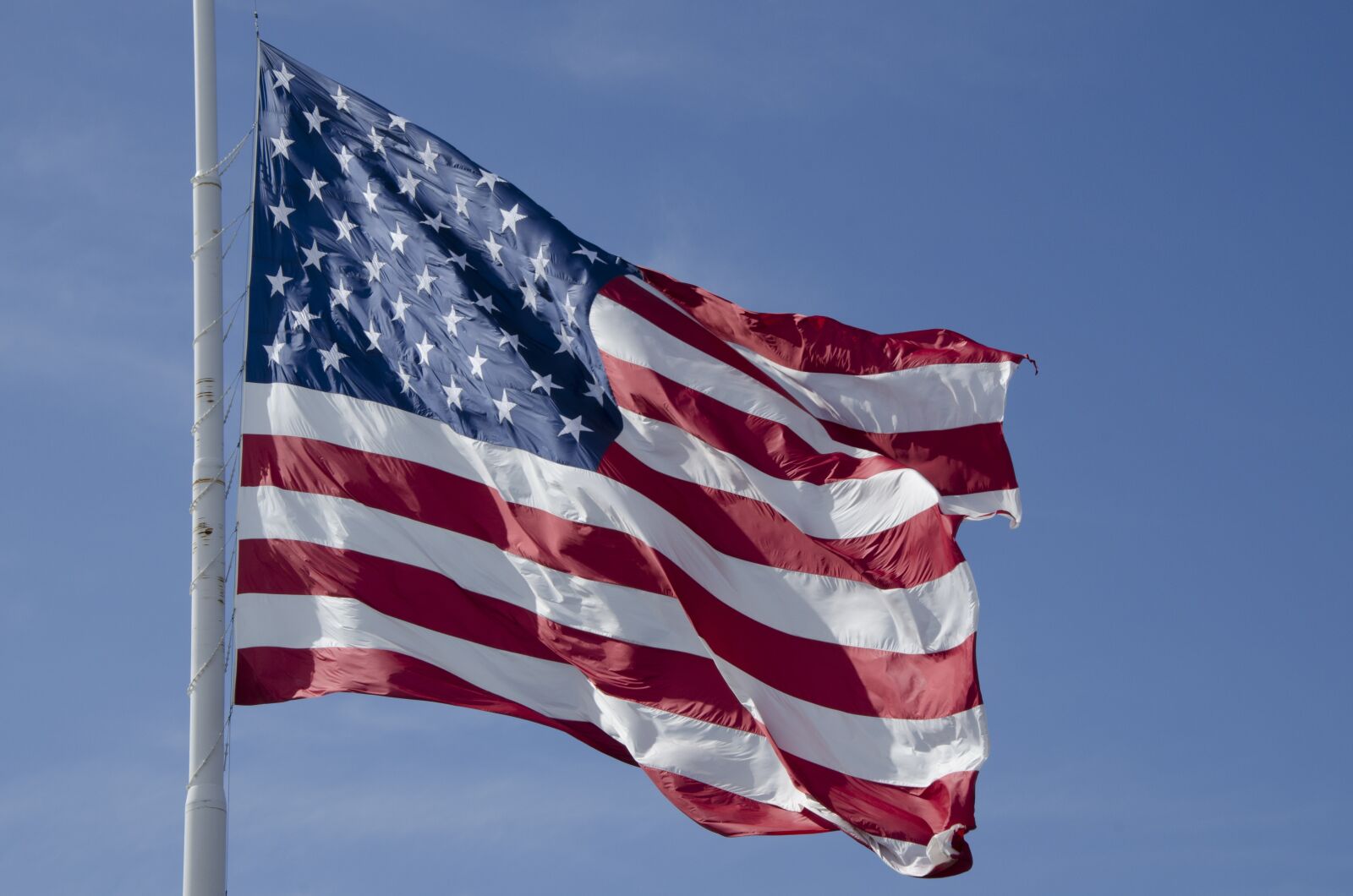 Nikon D5100 sample photo. Flag, waving, american photography