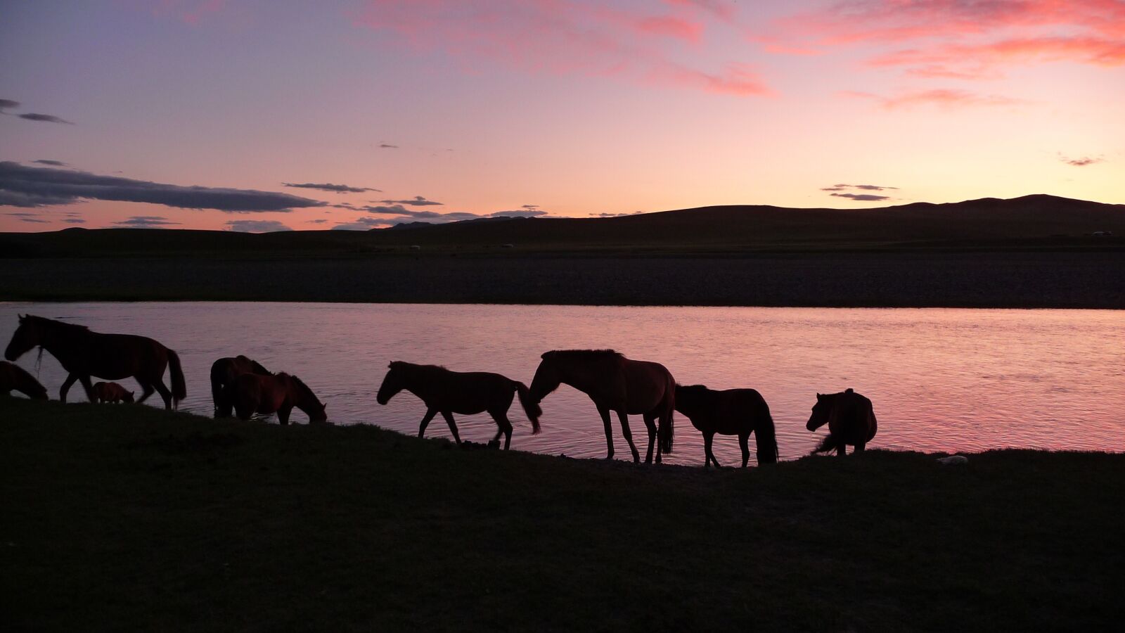 Panasonic Lumix DMC-TZ5 sample photo. Sunset, horses, mongolia photography