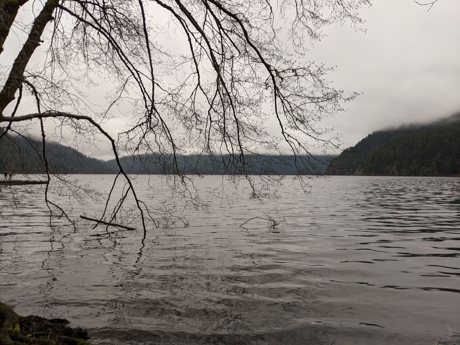 Google Pixel 3 sample photo. Water, nature, lake photography