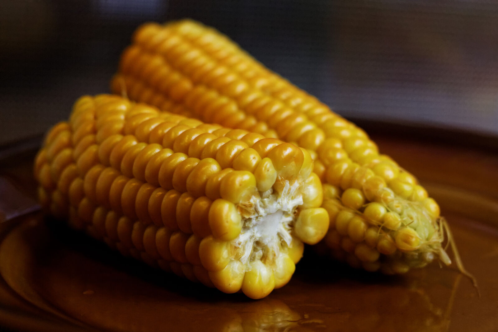 Canon EOS 400D (EOS Digital Rebel XTi / EOS Kiss Digital X) + Canon EF 50mm F1.8 II sample photo. Corn, maize, night photography