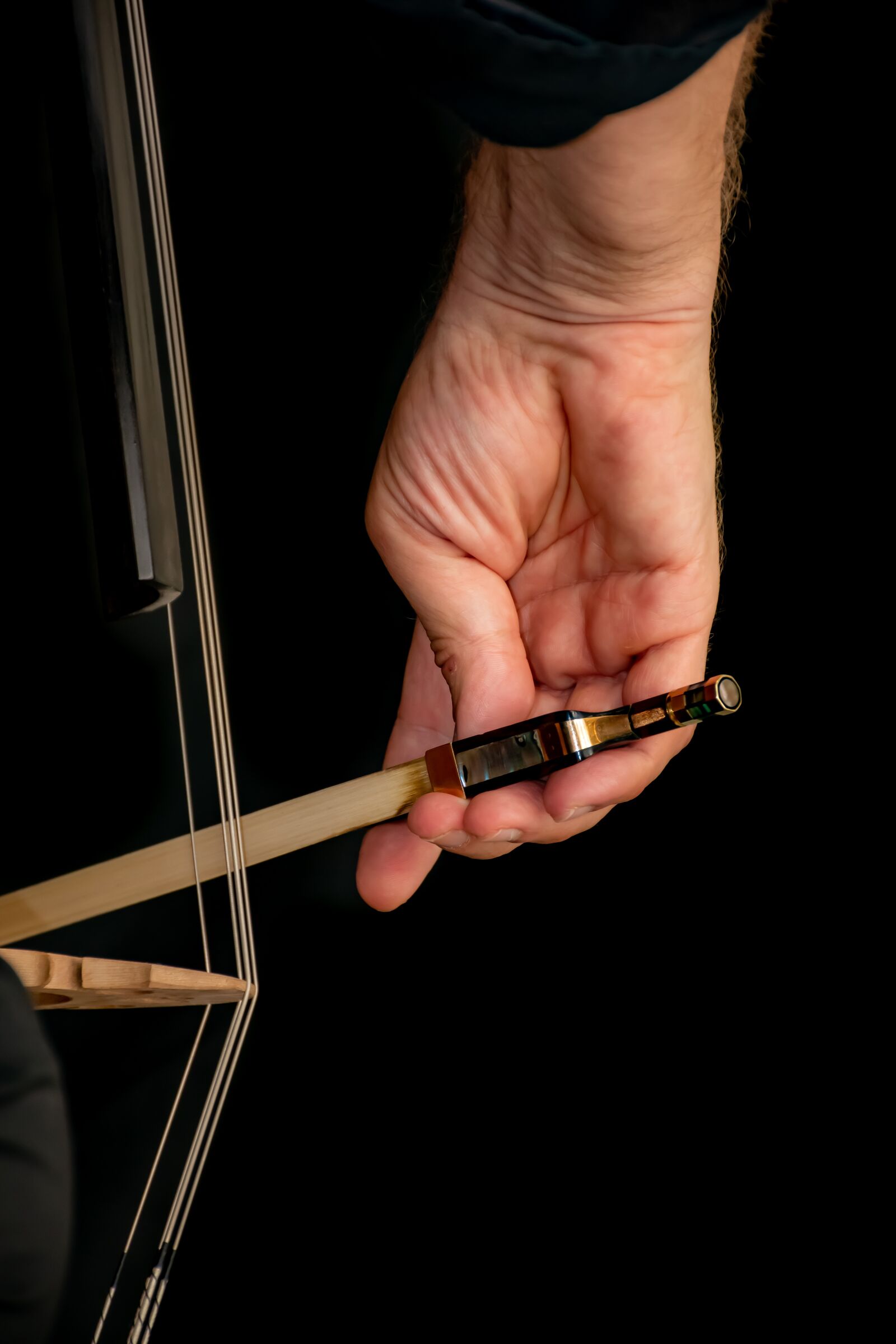 Nikon D5600 sample photo. Hand, bow, cello photography