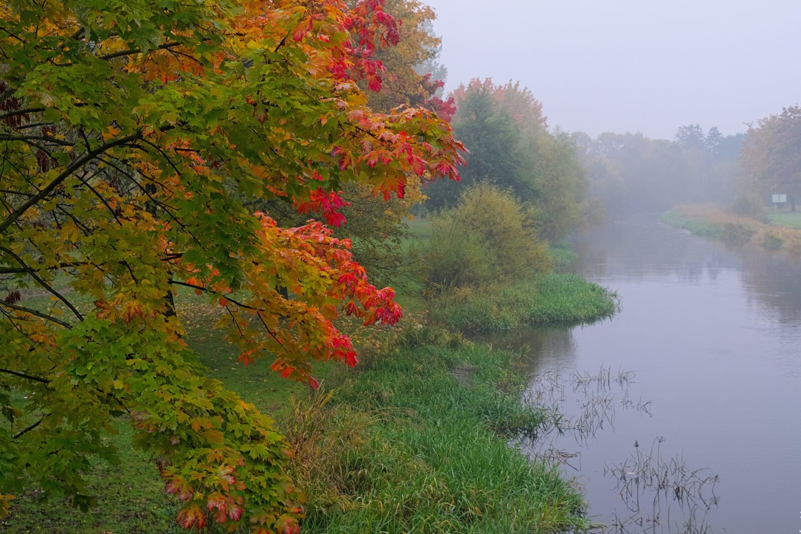 Nikon D3300 sample photo. The fog, landscape, morning photography
