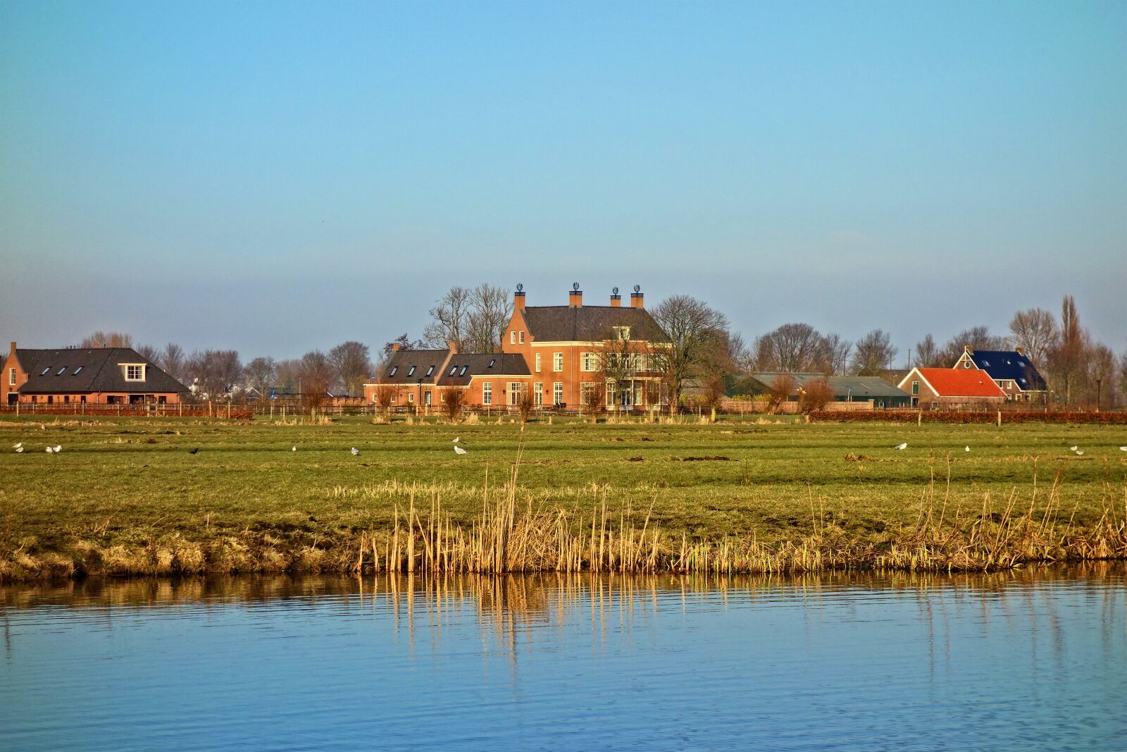 Sony Cyber-shot DSC-RX100 sample photo. Manor, estate, field photography
