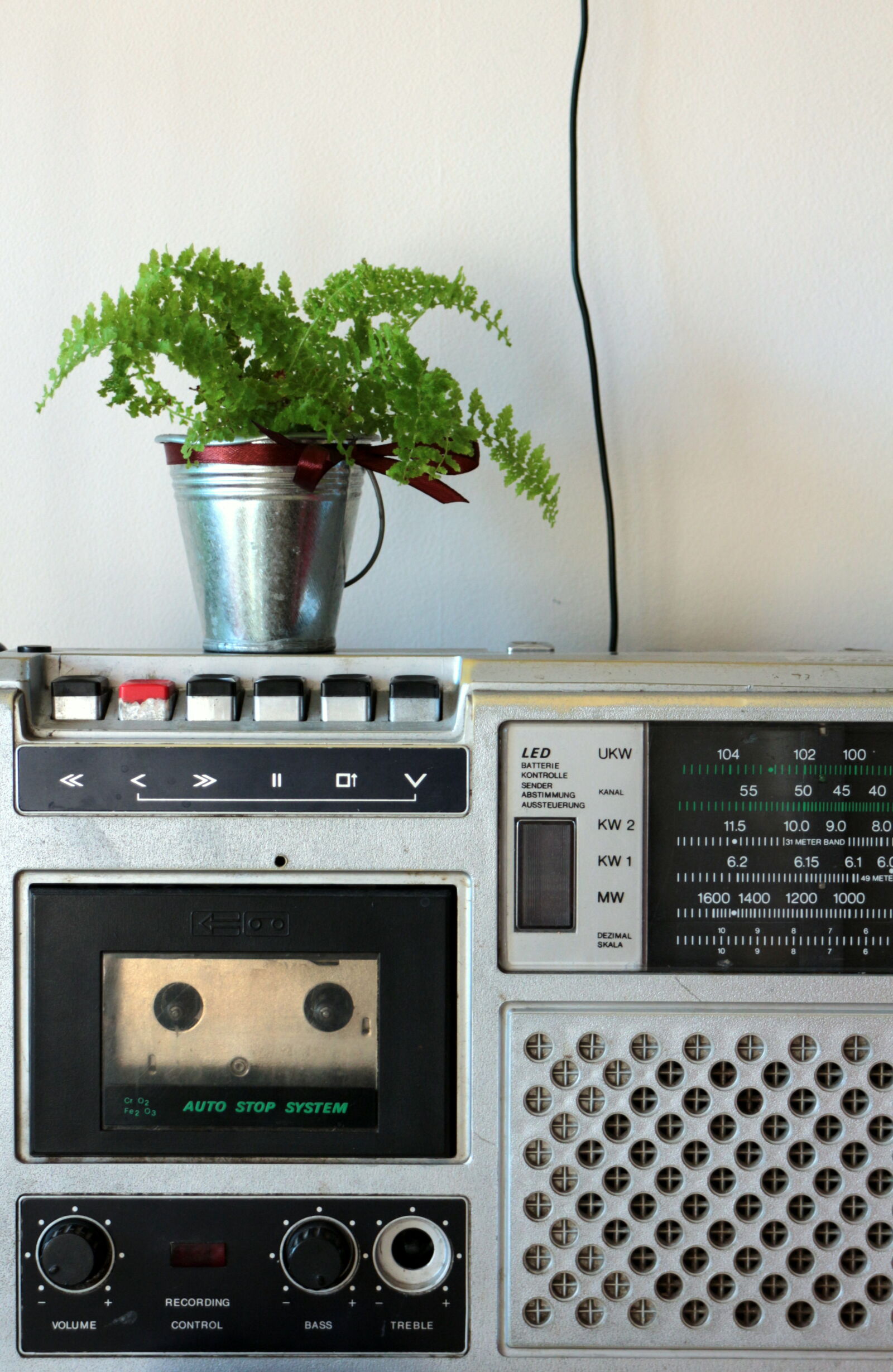 Canon EOS M + Canon EF-M 18-55mm F3.5-5.6 IS STM sample photo. Cassette, fern, music, old photography