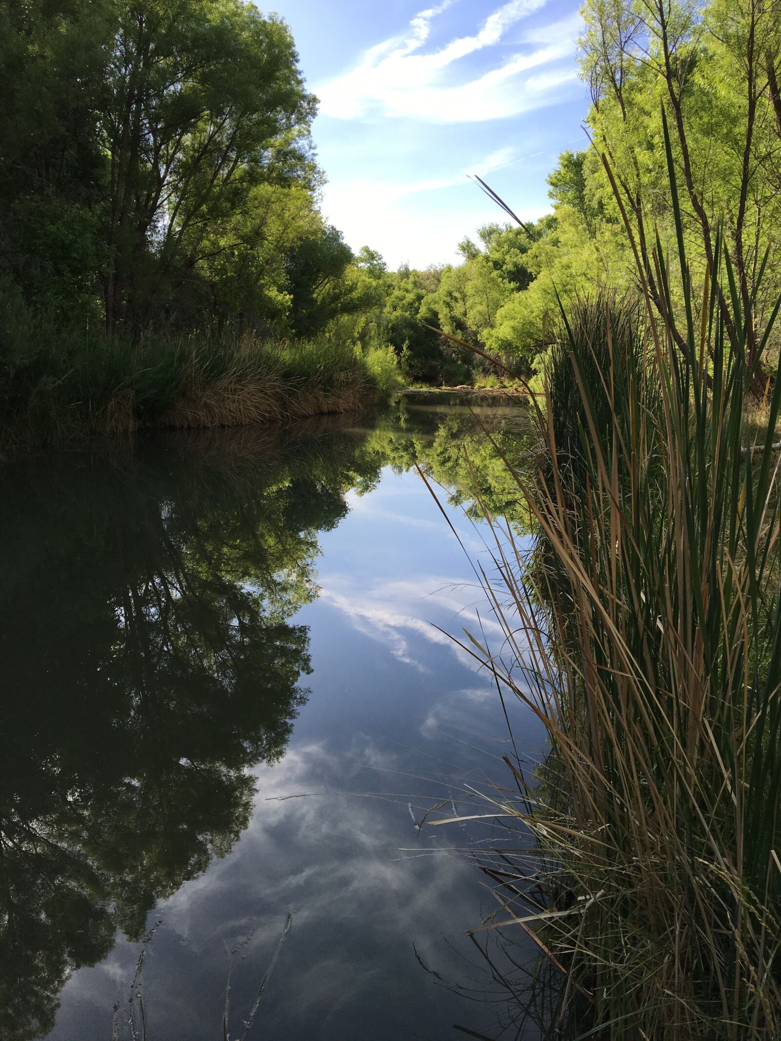 Apple iPhone 6s sample photo. Verde river, cottonwood arizona photography