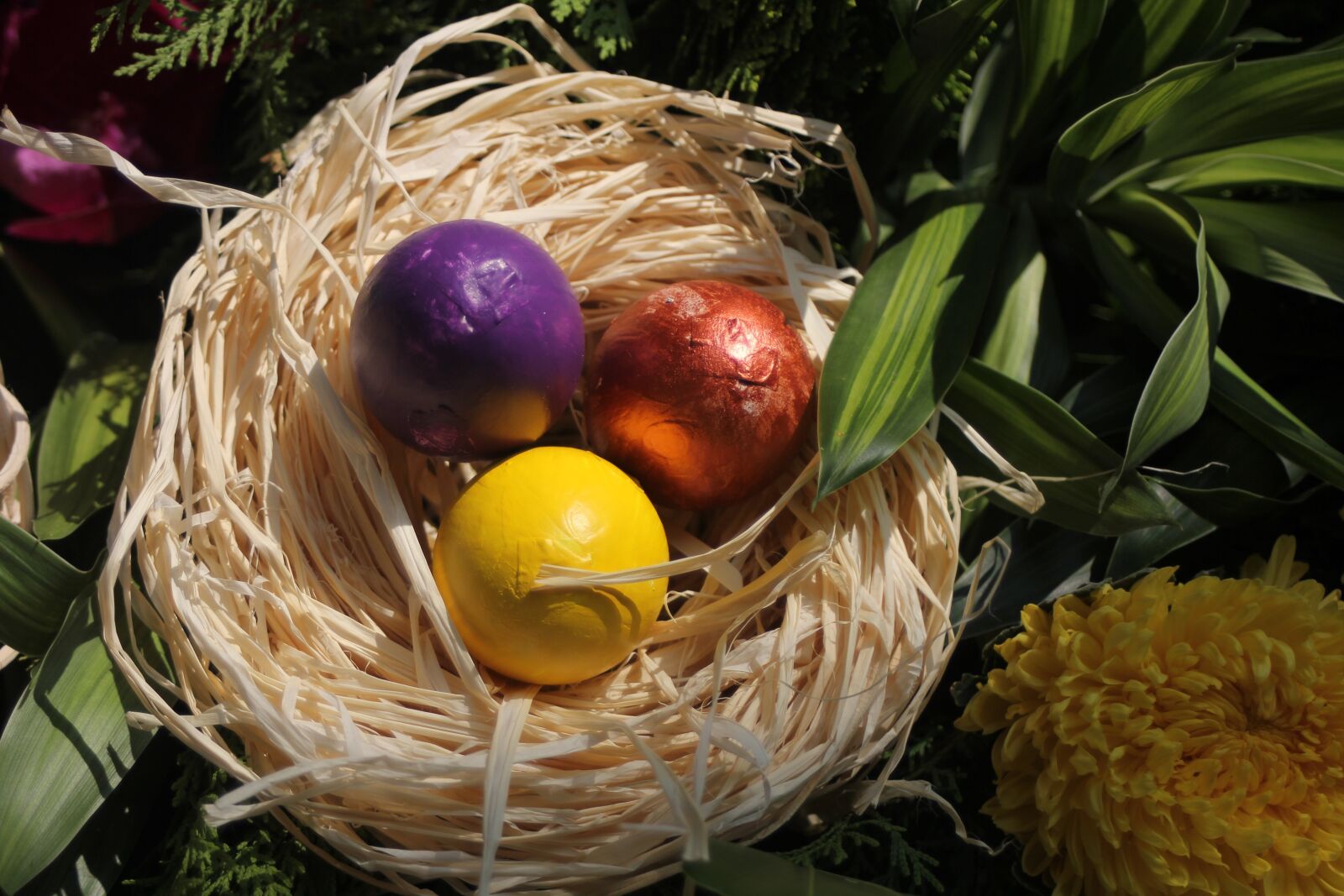 Canon EOS 60D + Canon EF 28-80mm f/3.5-5.6 sample photo. Easter, rabbit, egg photography