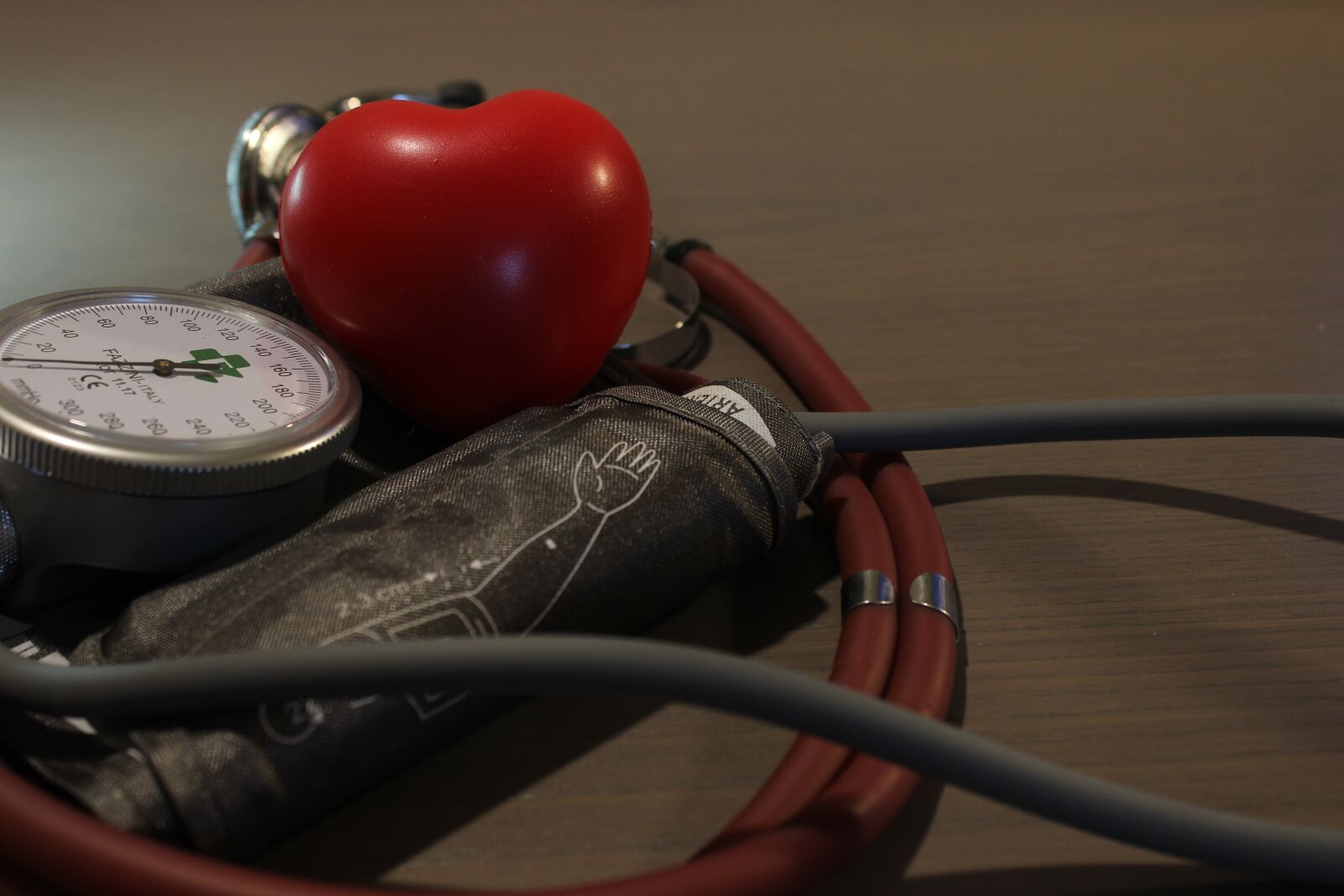 Canon EOS 600D (Rebel EOS T3i / EOS Kiss X5) sample photo. Blood pressure, hypertension, heart photography
