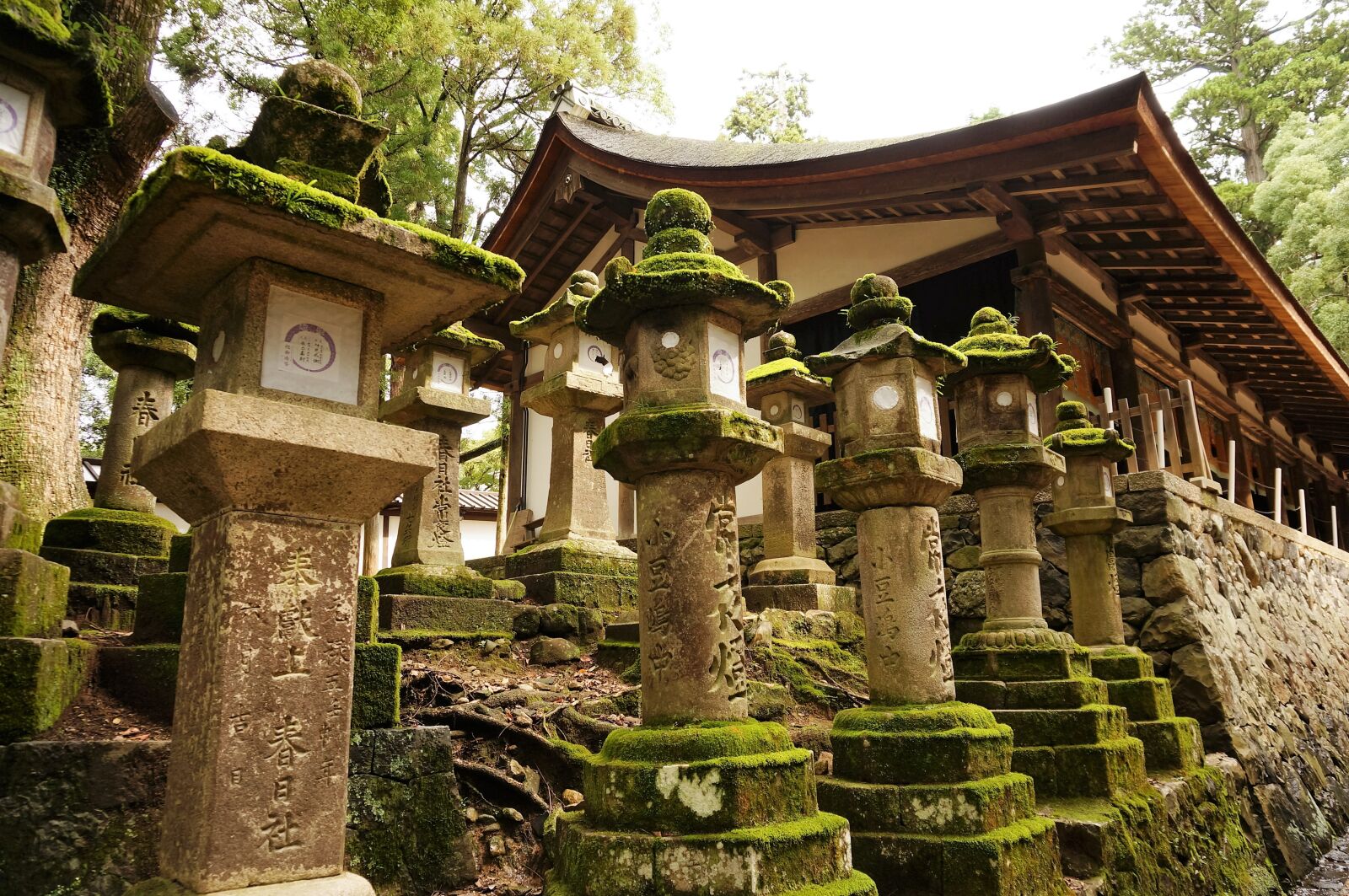 Sony Alpha NEX-5T sample photo. Lantern, japan, temple photography