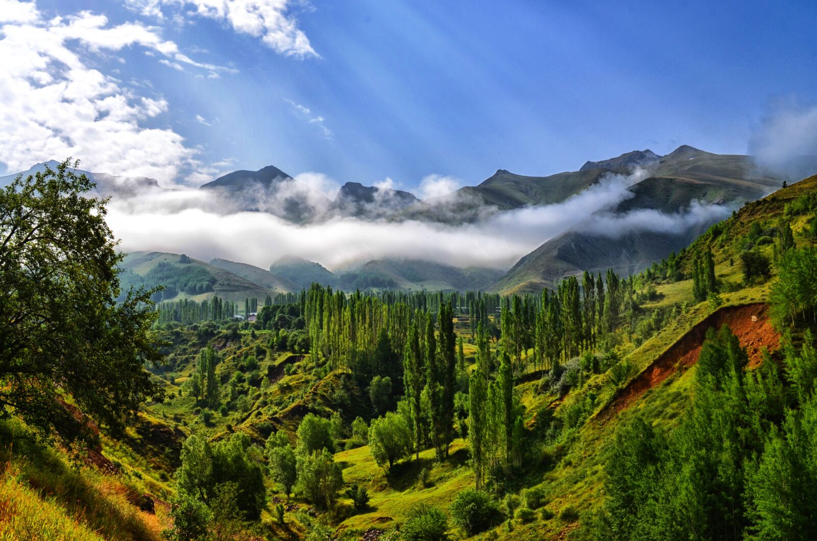 Nikon D5100 sample photo. Fog, nature, landscape photography