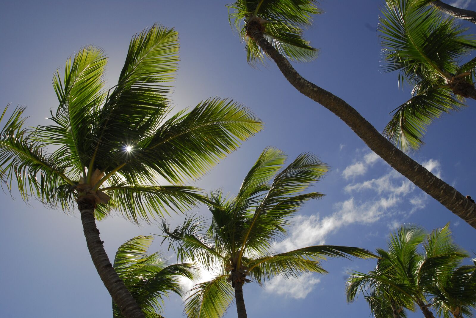 Nikon D200 sample photo. Dom rep, dominican republic photography