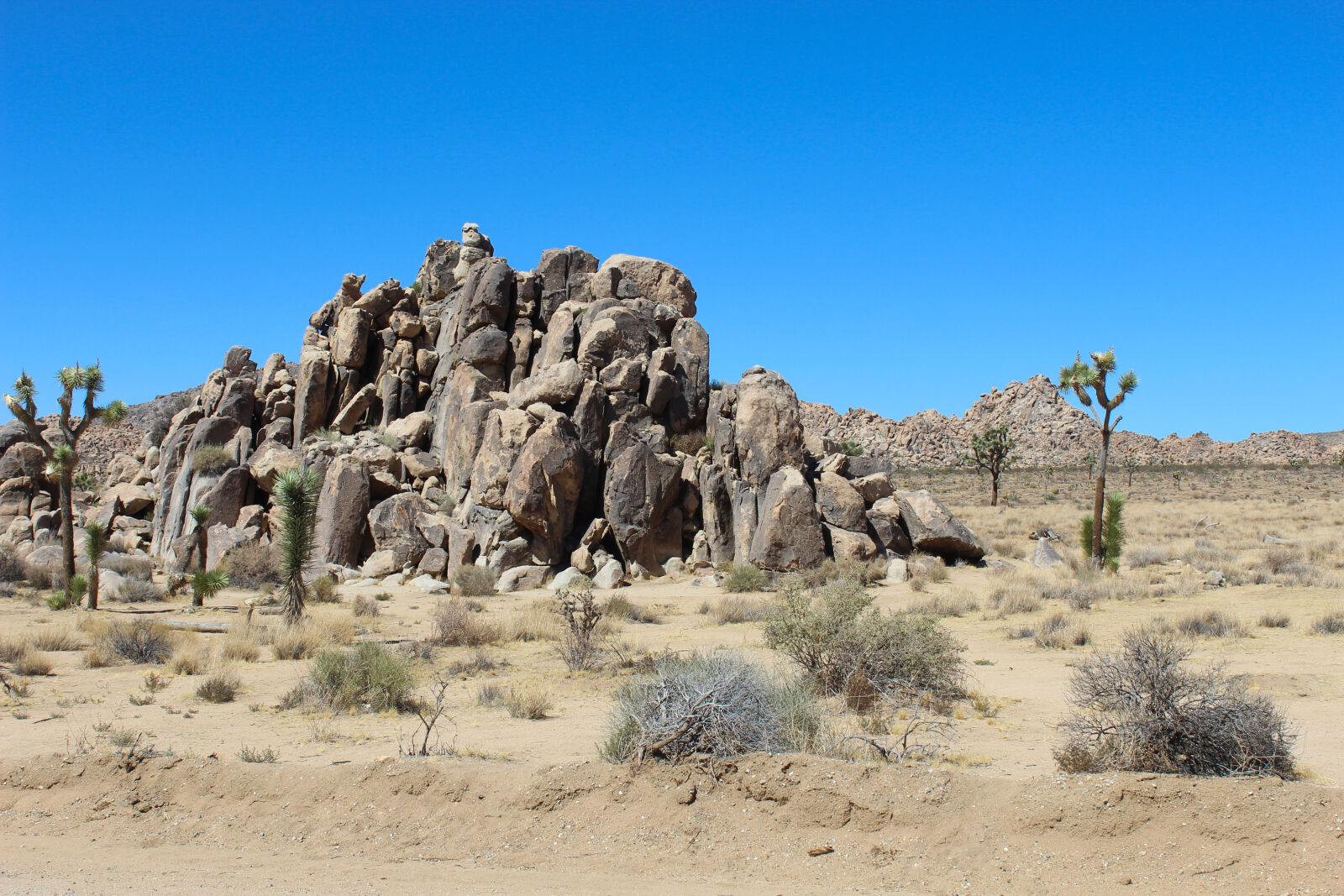 Canon EOS 1200D (EOS Rebel T5 / EOS Kiss X70 / EOS Hi) sample photo. Desert, joshua, tree photography