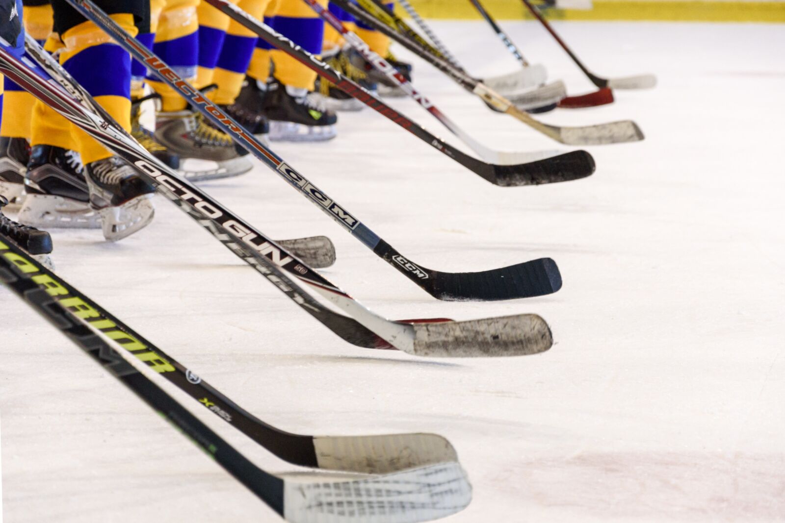 Nikon D750 sample photo. Hockey team, hockey game photography