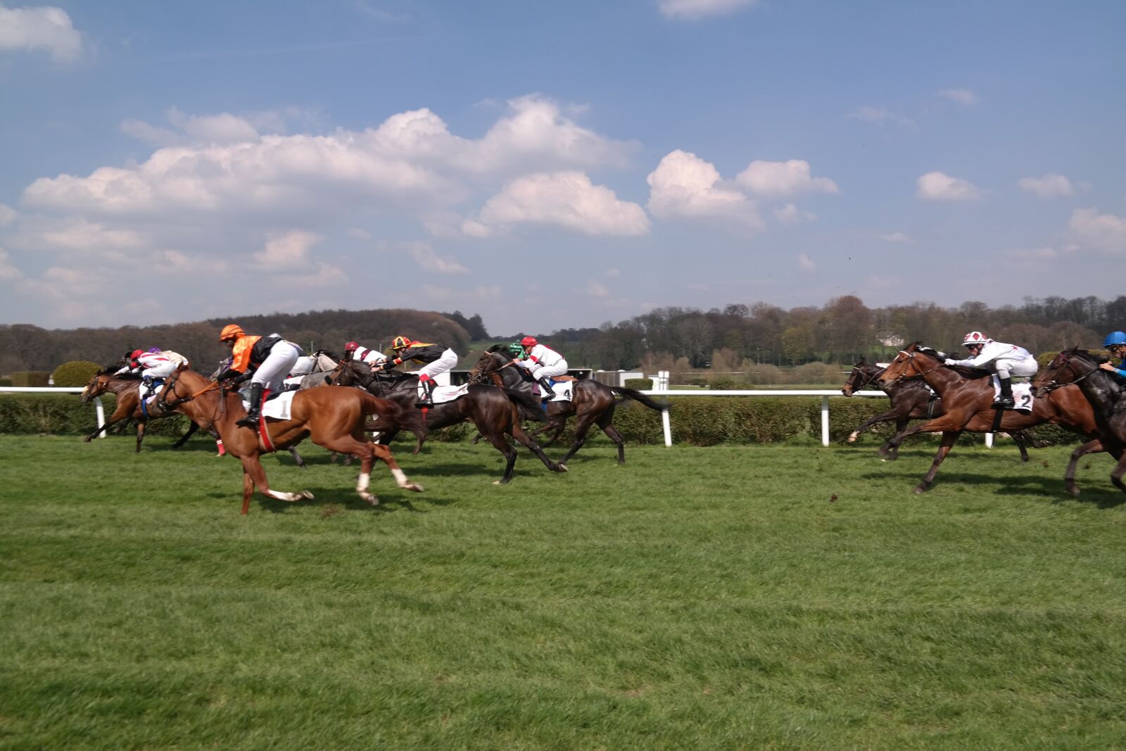Samsung NX300 sample photo. Horse racing, field, equestrian photography
