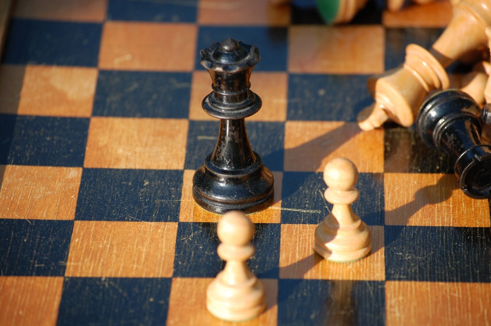 Nikon D40 sample photo. Lost, chess, chess pieces photography