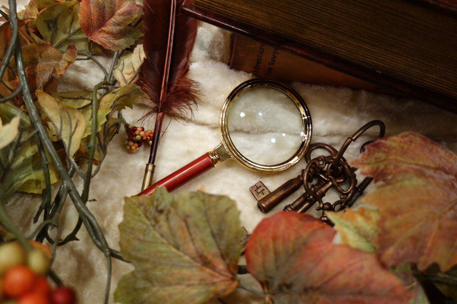 Sony Cyber-shot DSC-RX100 sample photo. Mystery, magnifying glass, autumn photography