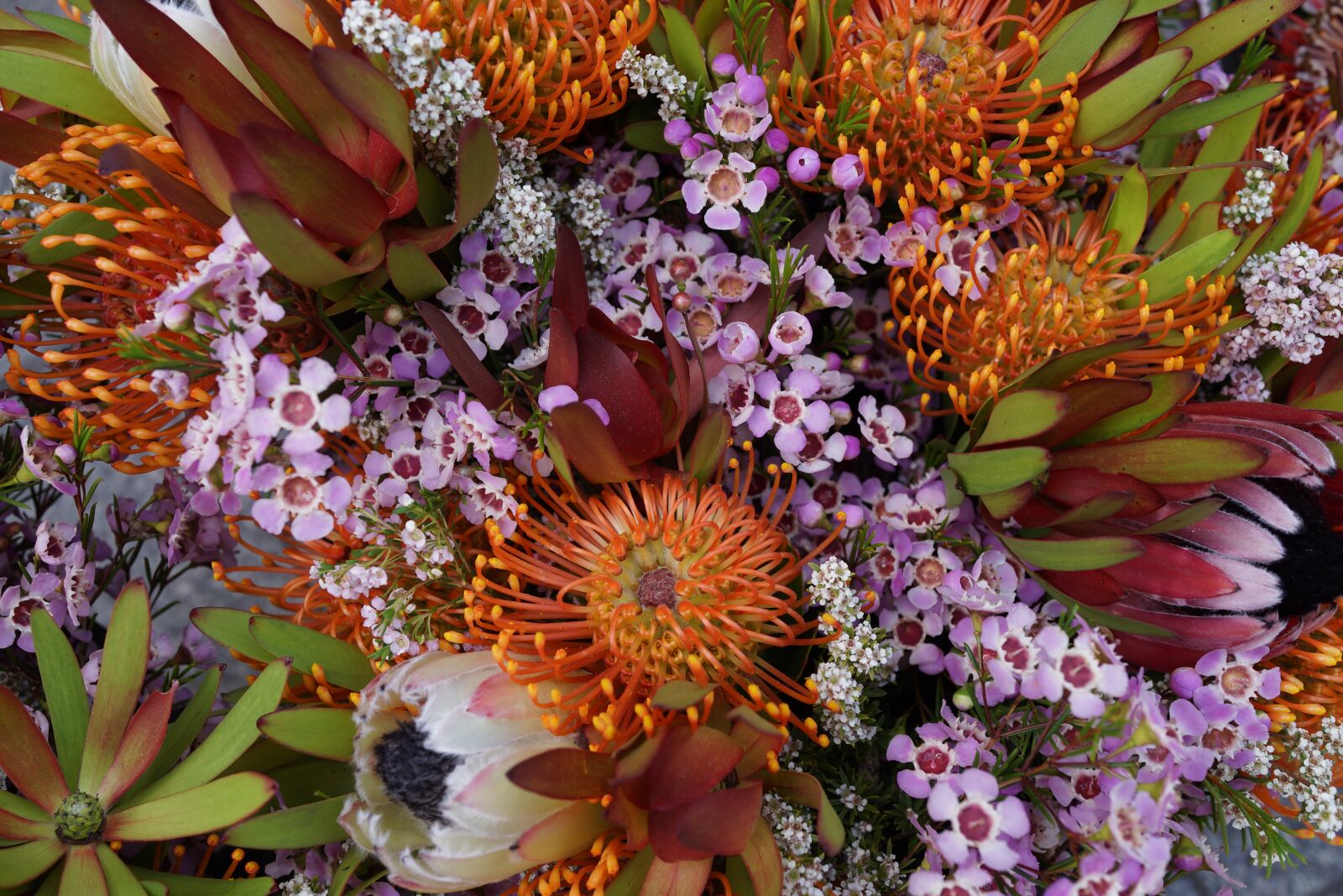 Sony Cyber-shot DSC-RX1R sample photo. Natives, floral bouquet, blossom photography