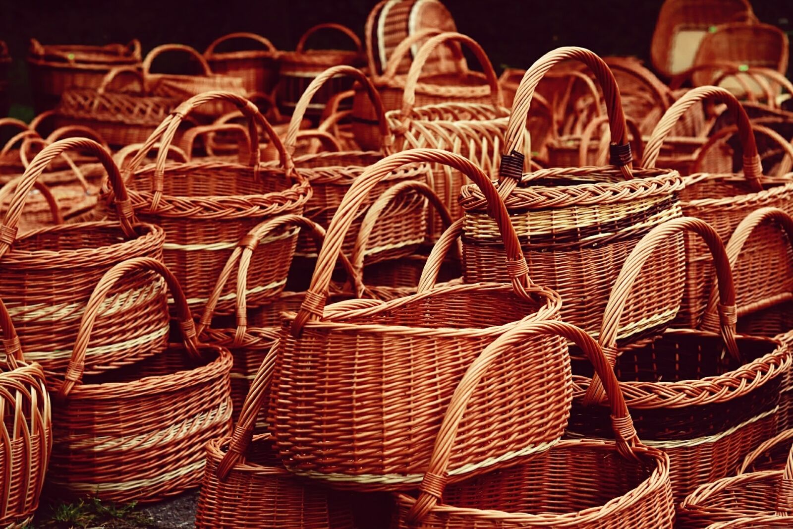 Canon EOS 750D (EOS Rebel T6i / EOS Kiss X8i) sample photo. Basket, graze, background photography